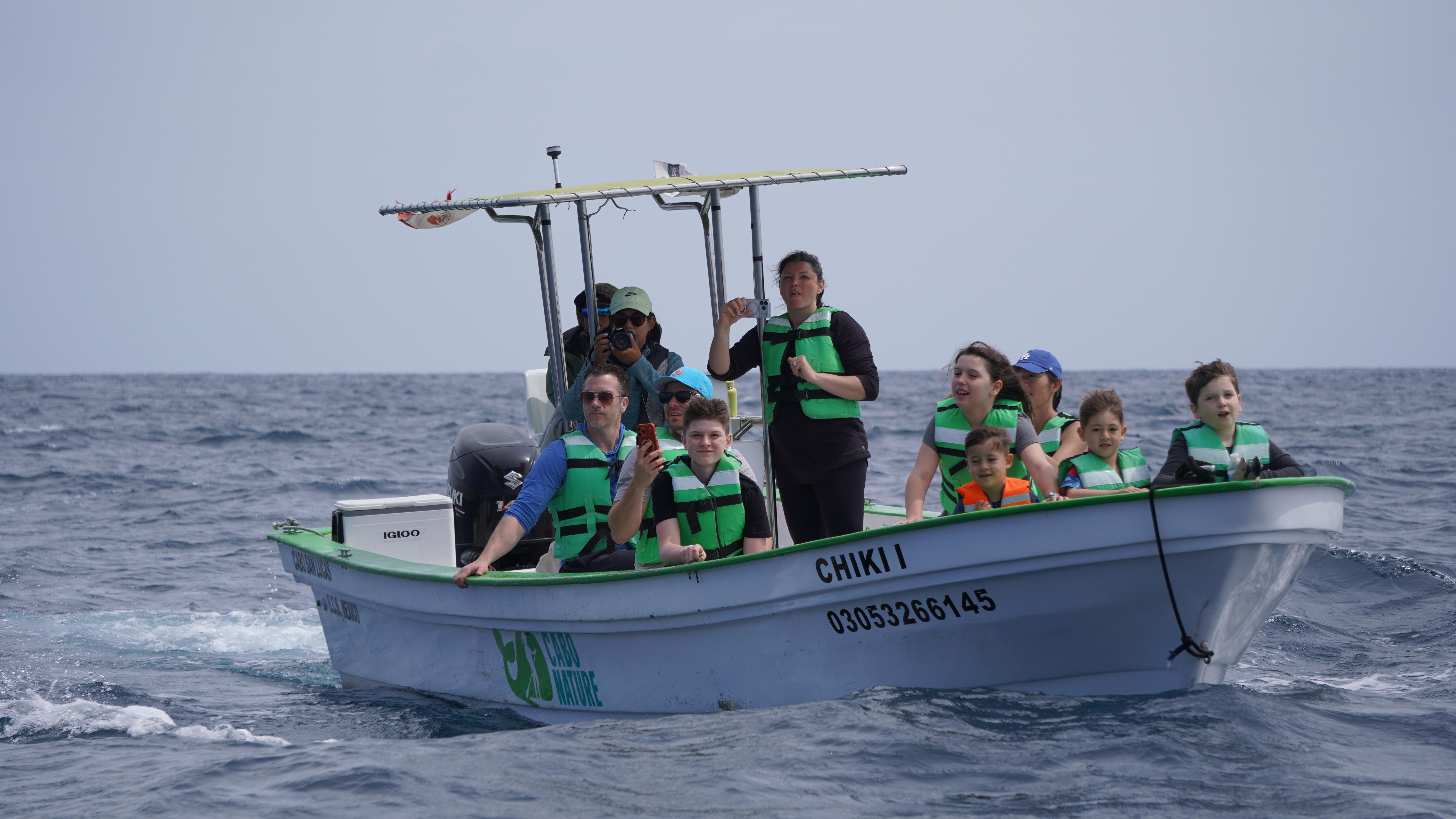Cabo Whale Watching with All-Female Crew & Marine Biologist