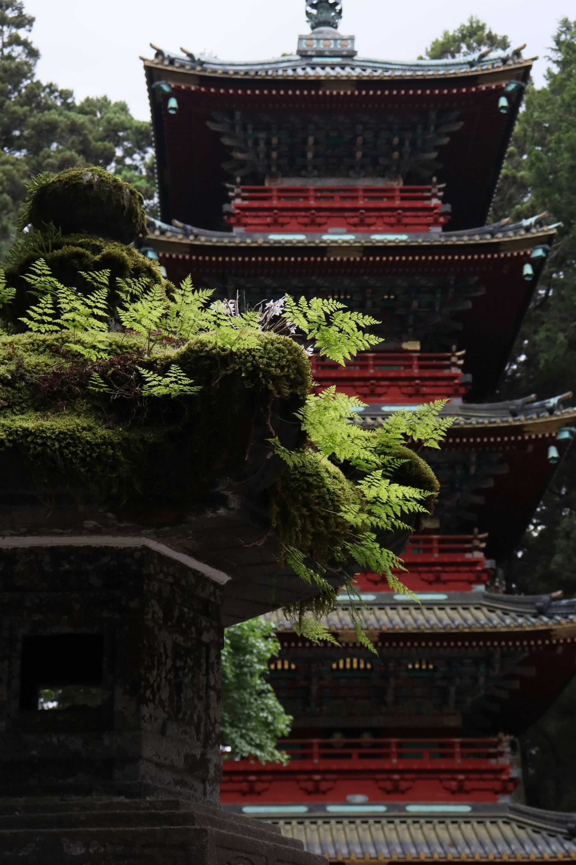 Tokyo to Nikko: Private Luxury Day Trip to UNESCO World Heritage Sites