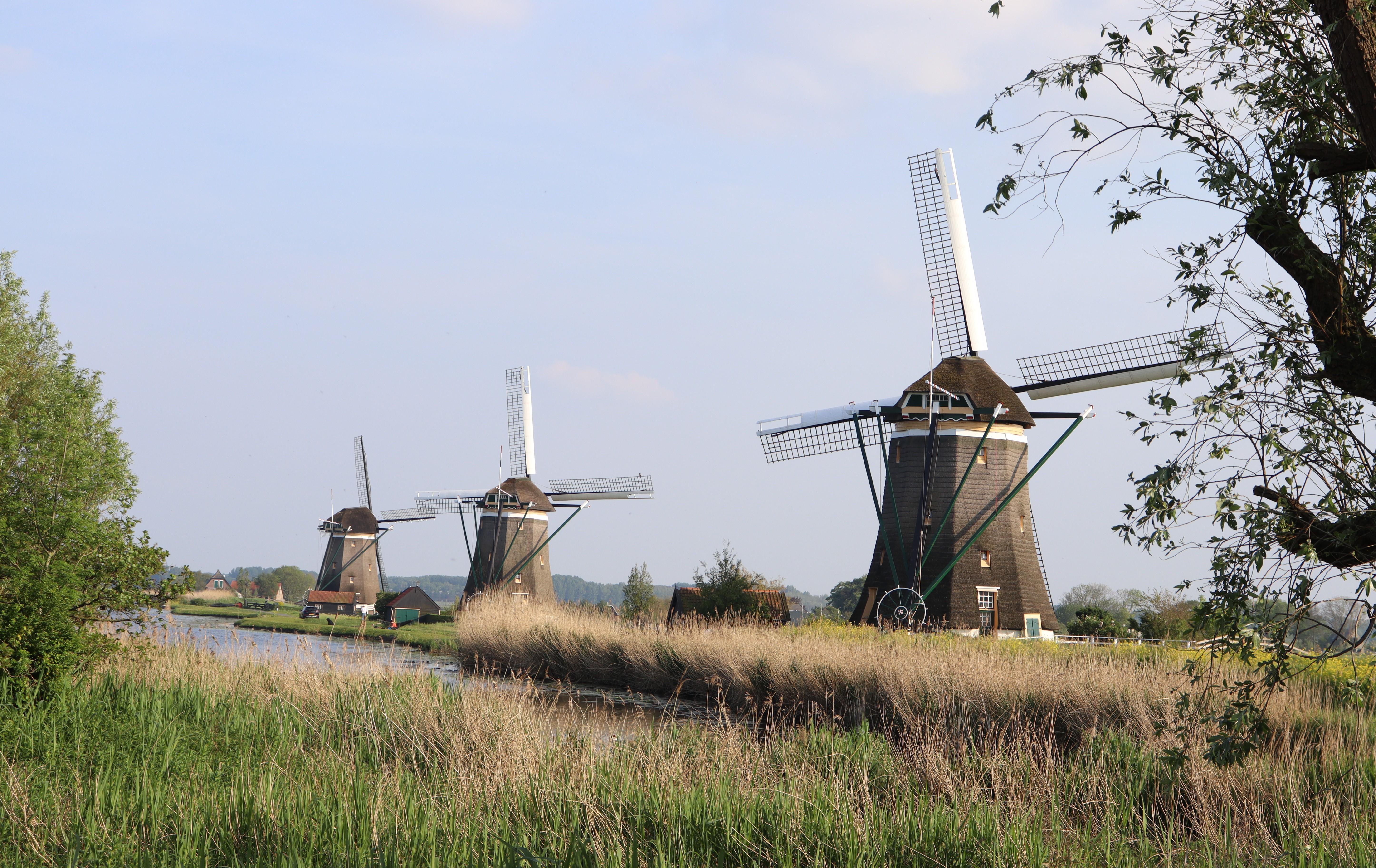 Dutch Countryside Escape: Delft, Volendam & Hidden Windmills
