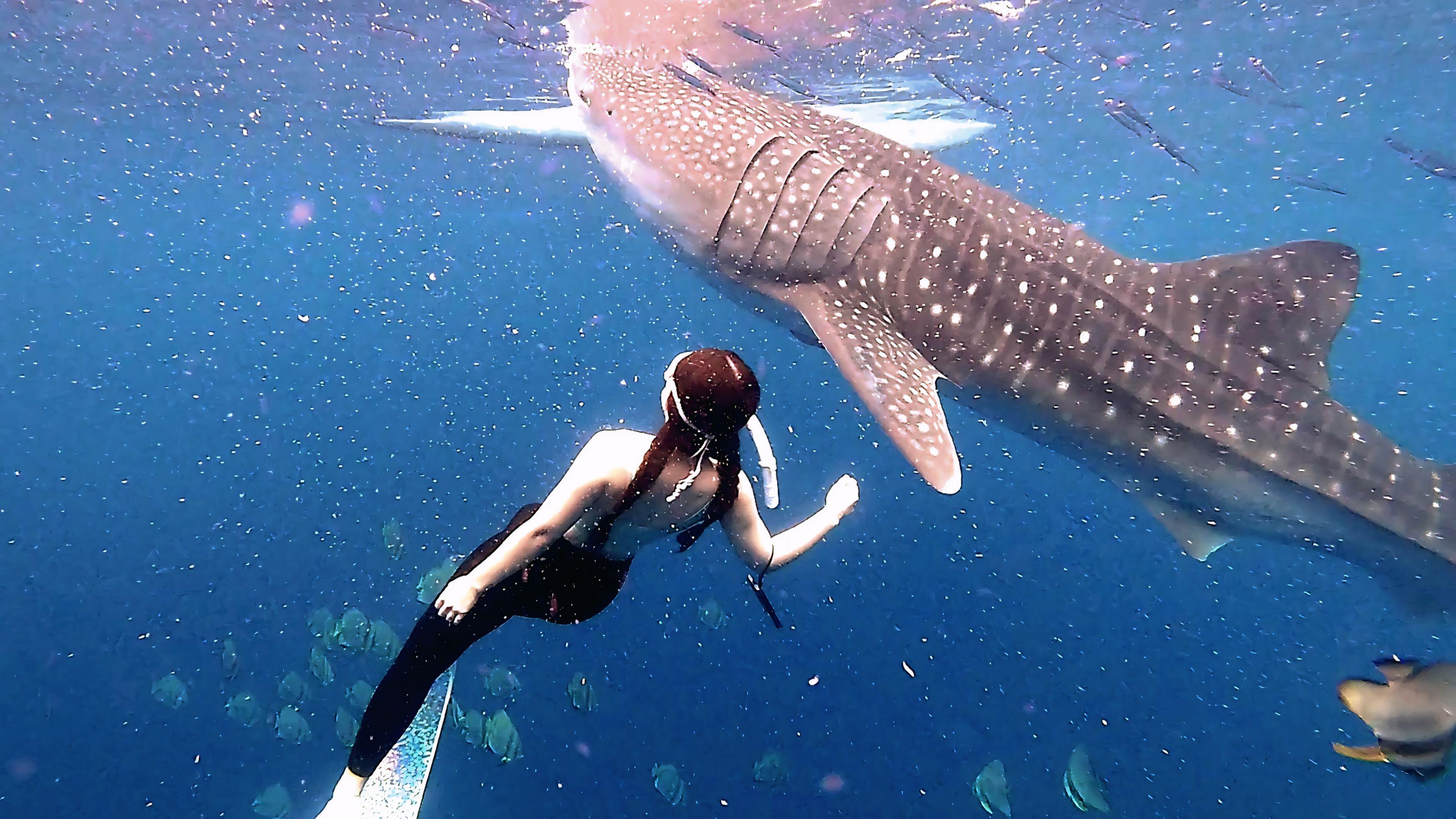 Oslob Whale Shark Swim, Sumilon Island & Southern Cebu Day Tour