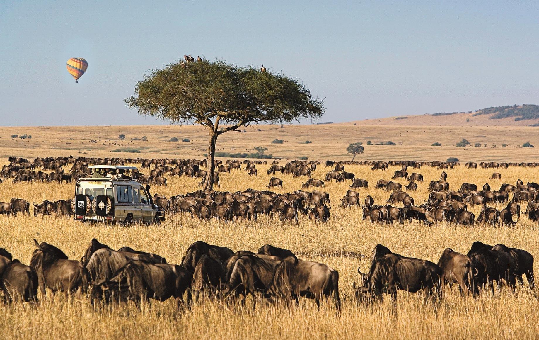 3-Day Masai Mara Safari Adventure
