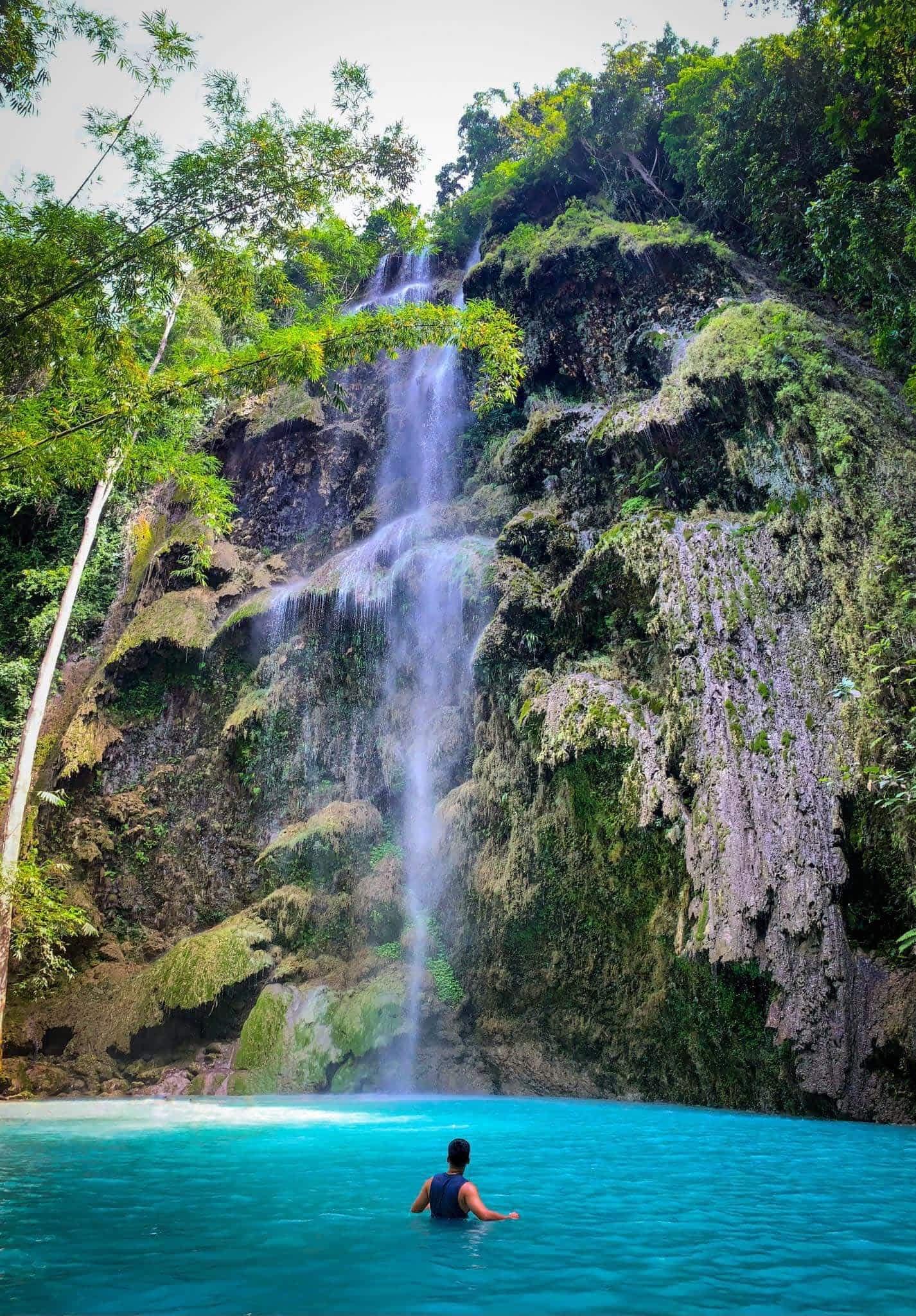 Cebu Triple Wonder: Whale Sharks, Sumilon Sandbar & Tumalog Falls