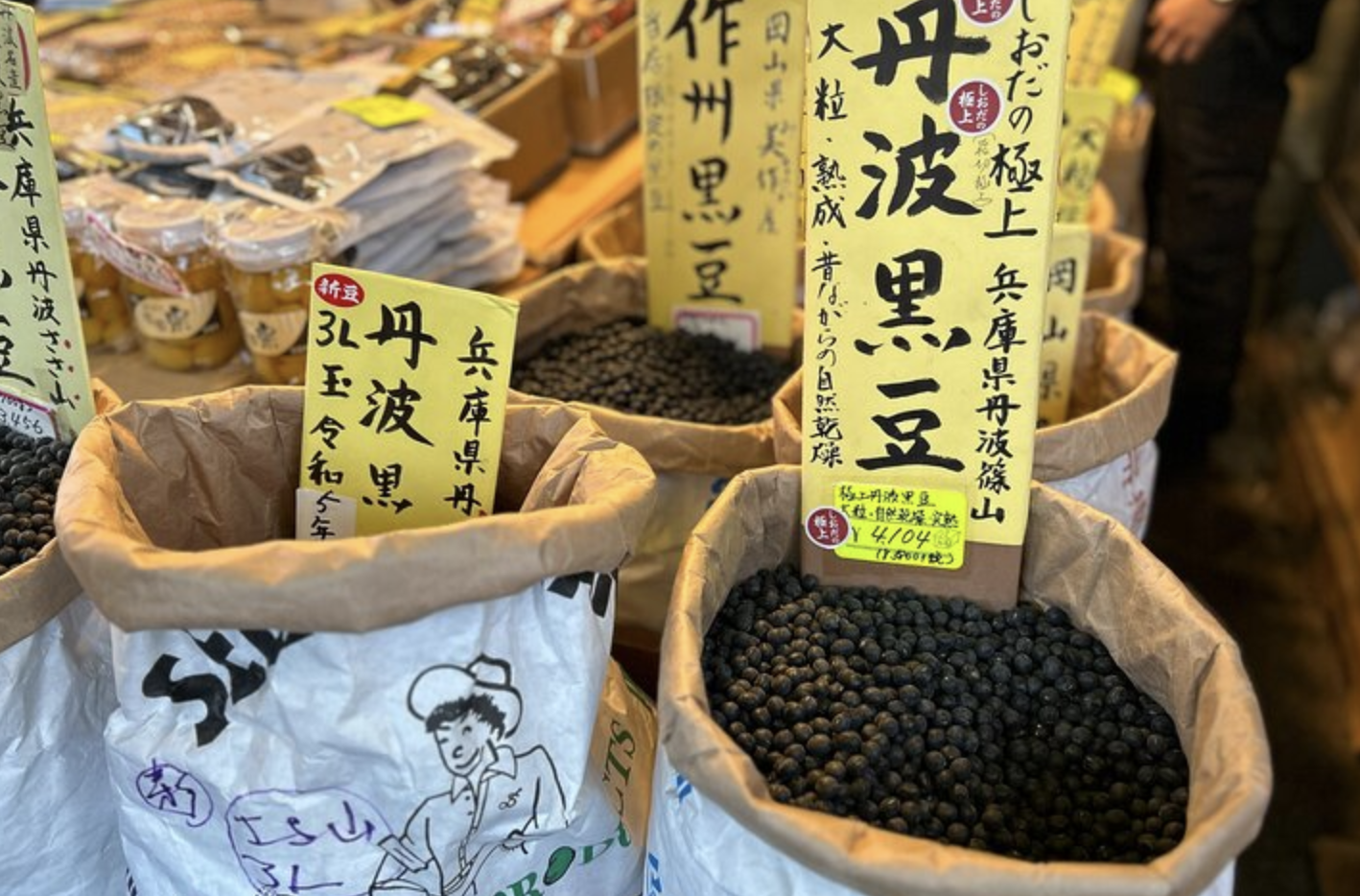 Toyosu tuna auction tour — bluefin auction floor, buyers grading, Tsukiji market — image 15