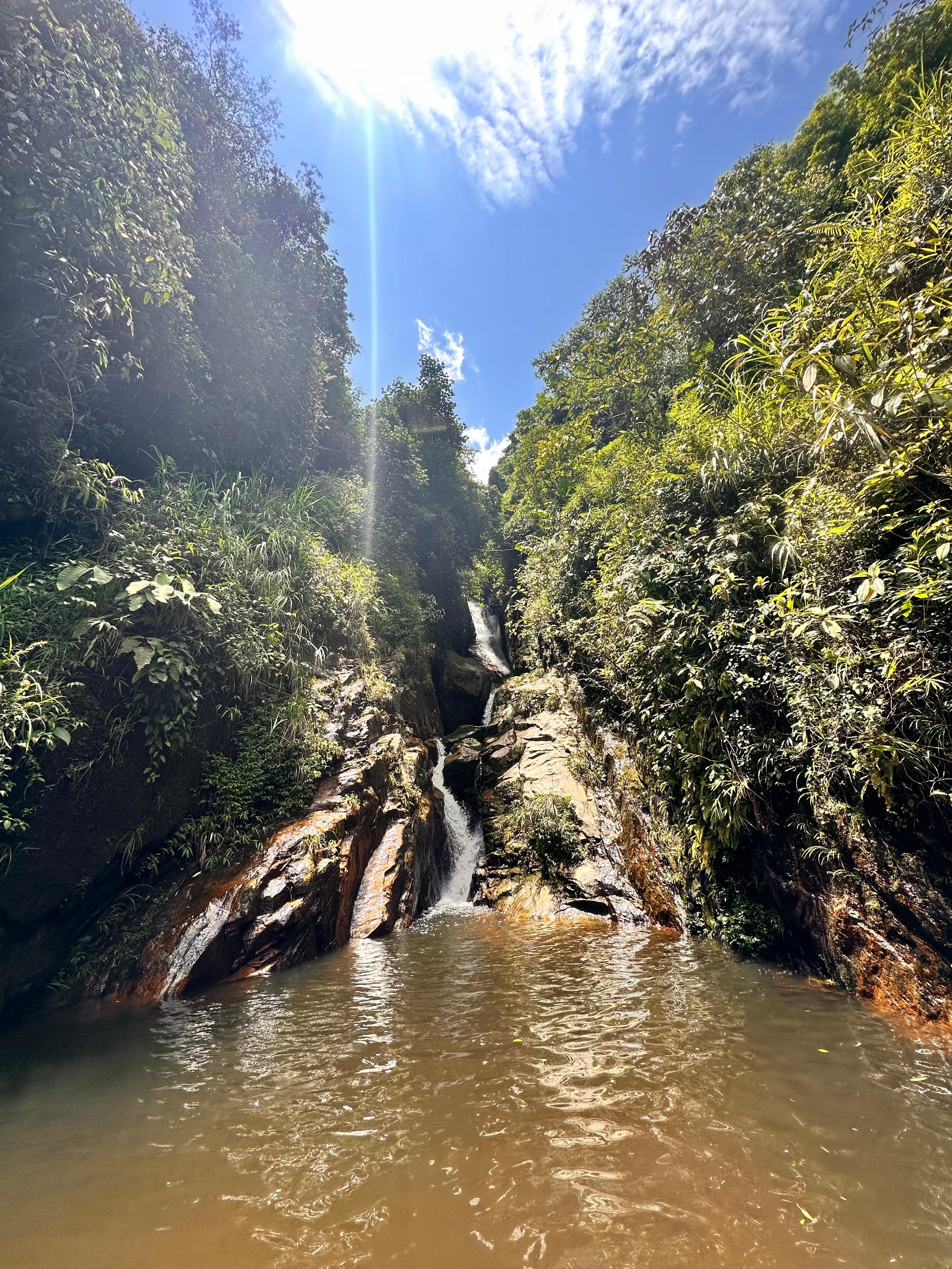 Sapa 2-day trek — Muong Hoa Valley rice terraces and ethnic-minority villages — image 32