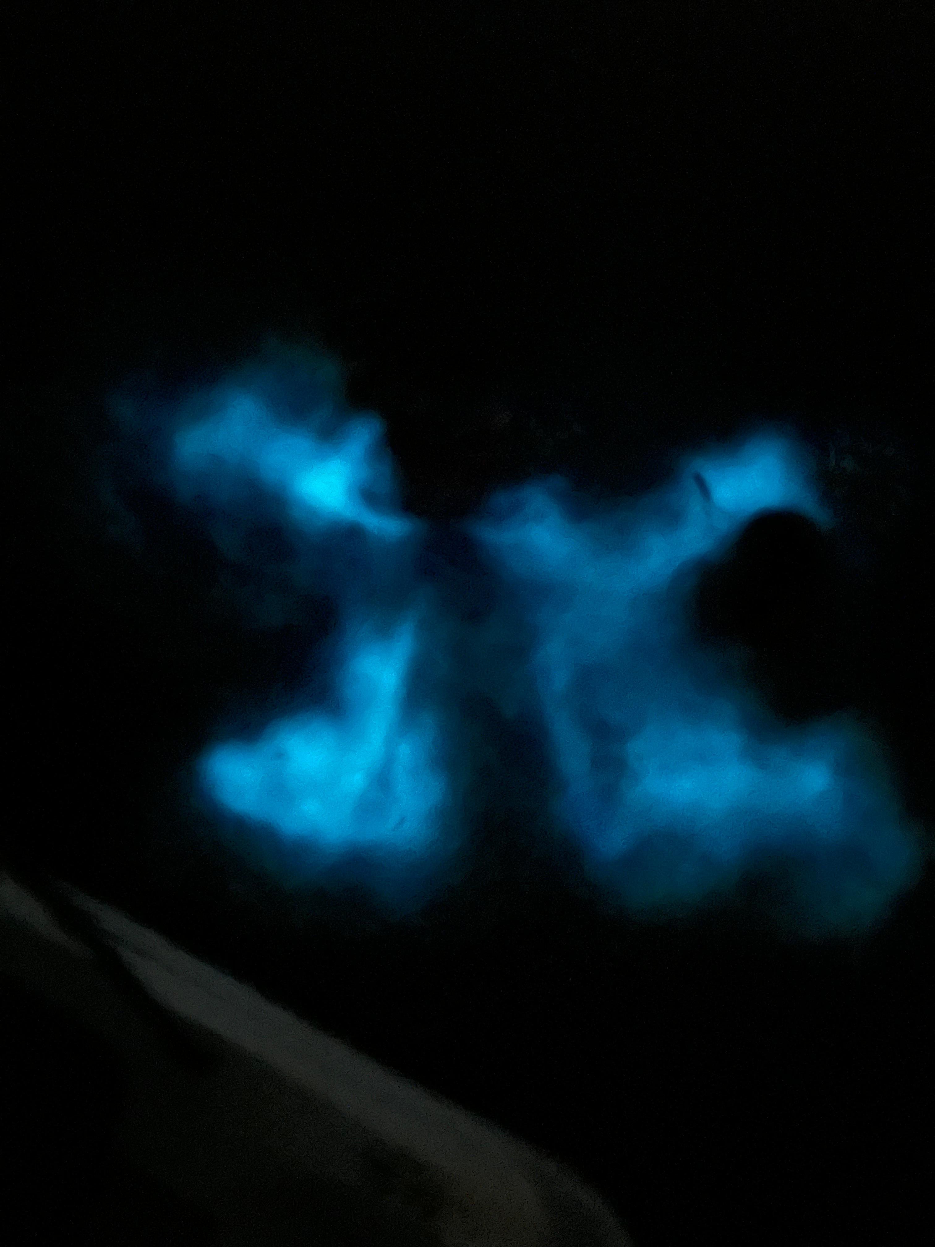 La Parguera Bioluminescent Bay Boat Tour