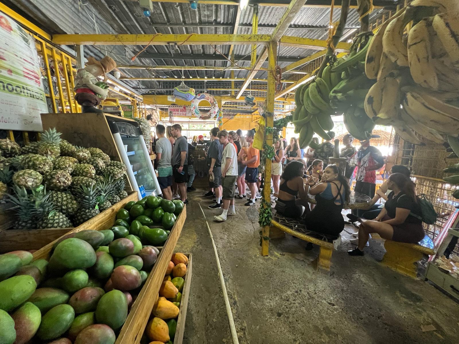El Yunque Rainforest Adventure: Waterfalls, Slides & Luquillo Beach