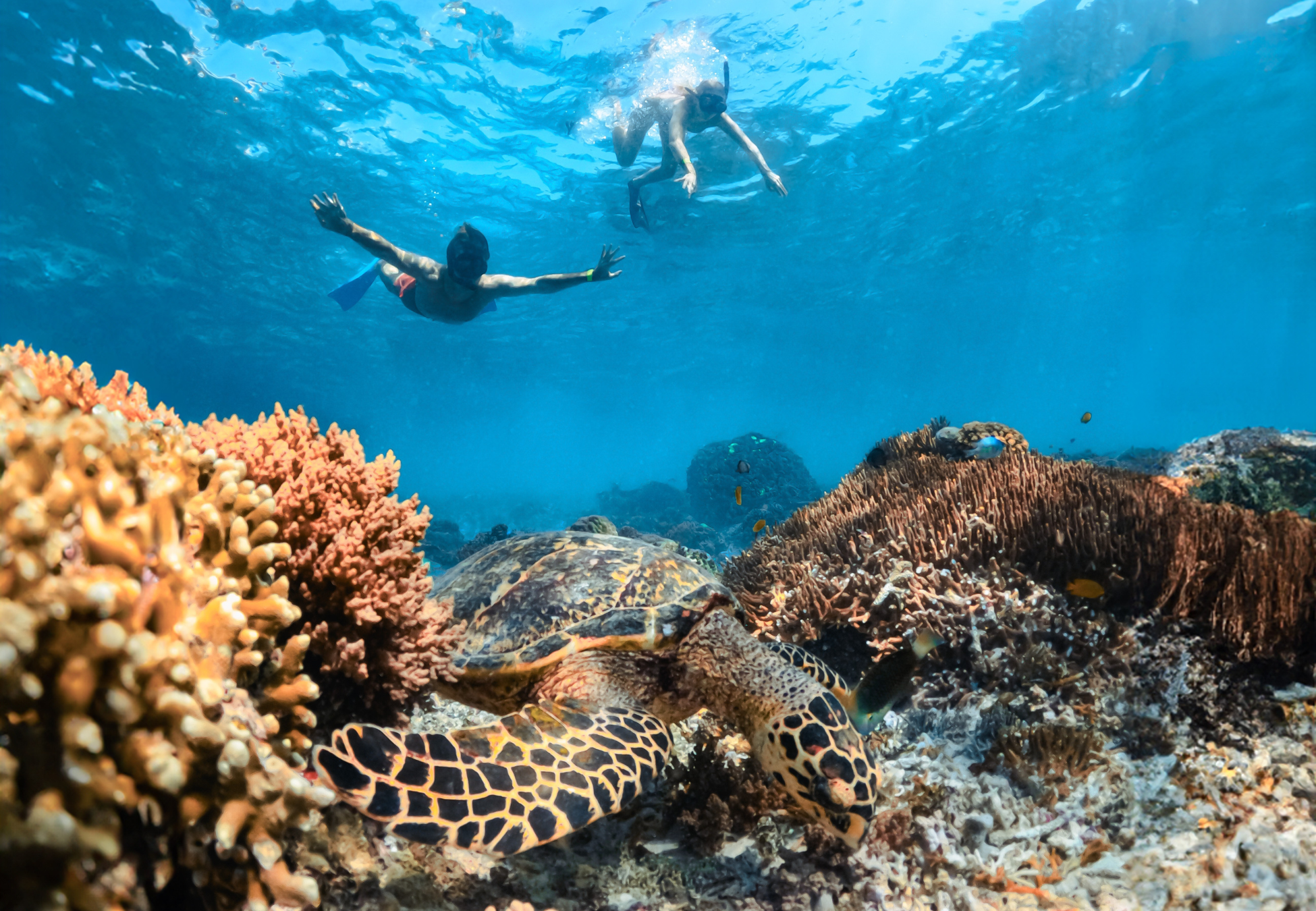 Nusa Lembongan Day Cruise with Snorkeling & BBQ