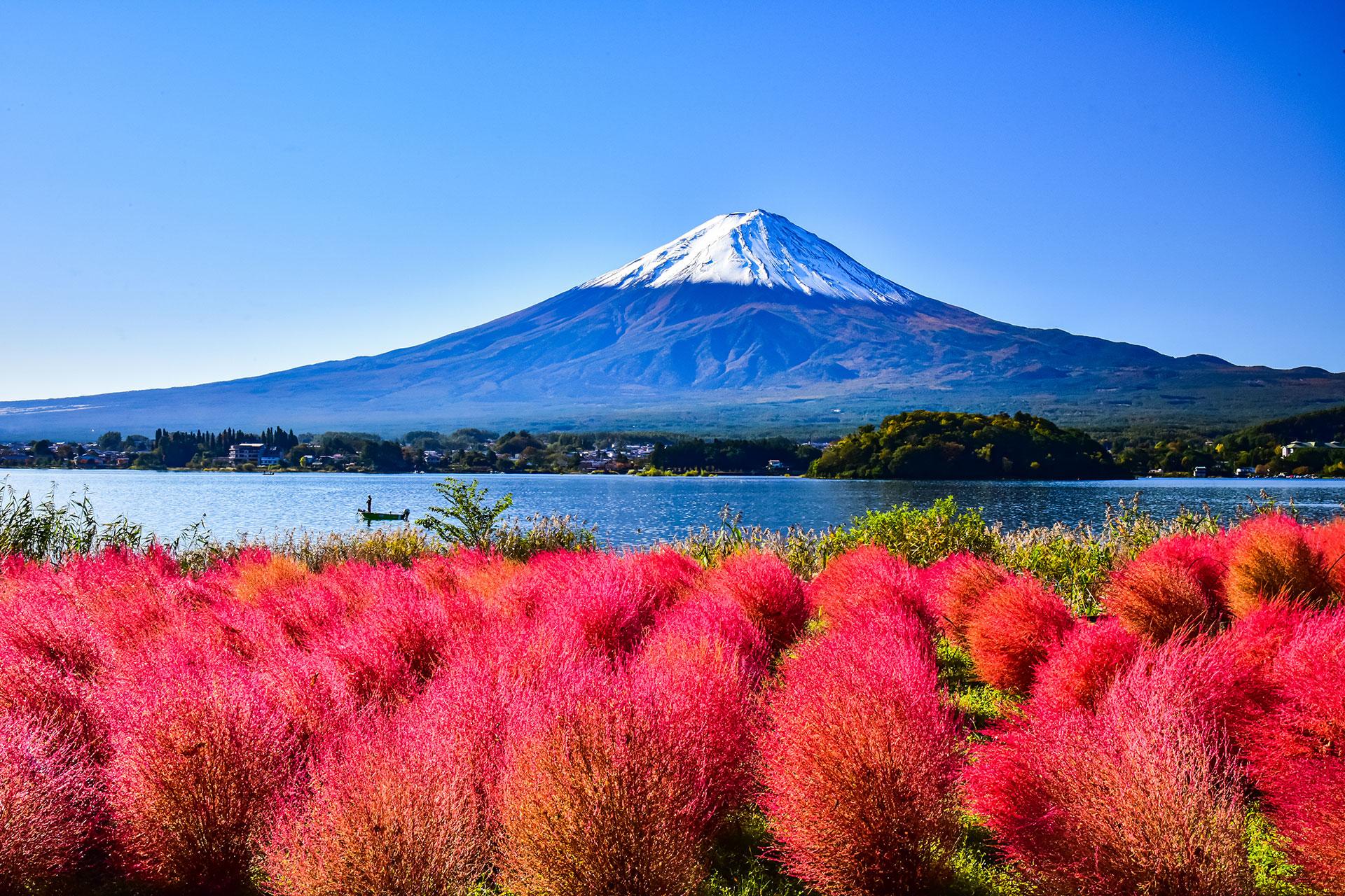 Mt. Fuji Day Tour: Lake Kawaguchi, Oshino Hakkai & Chureito Pagoda from Tokyo