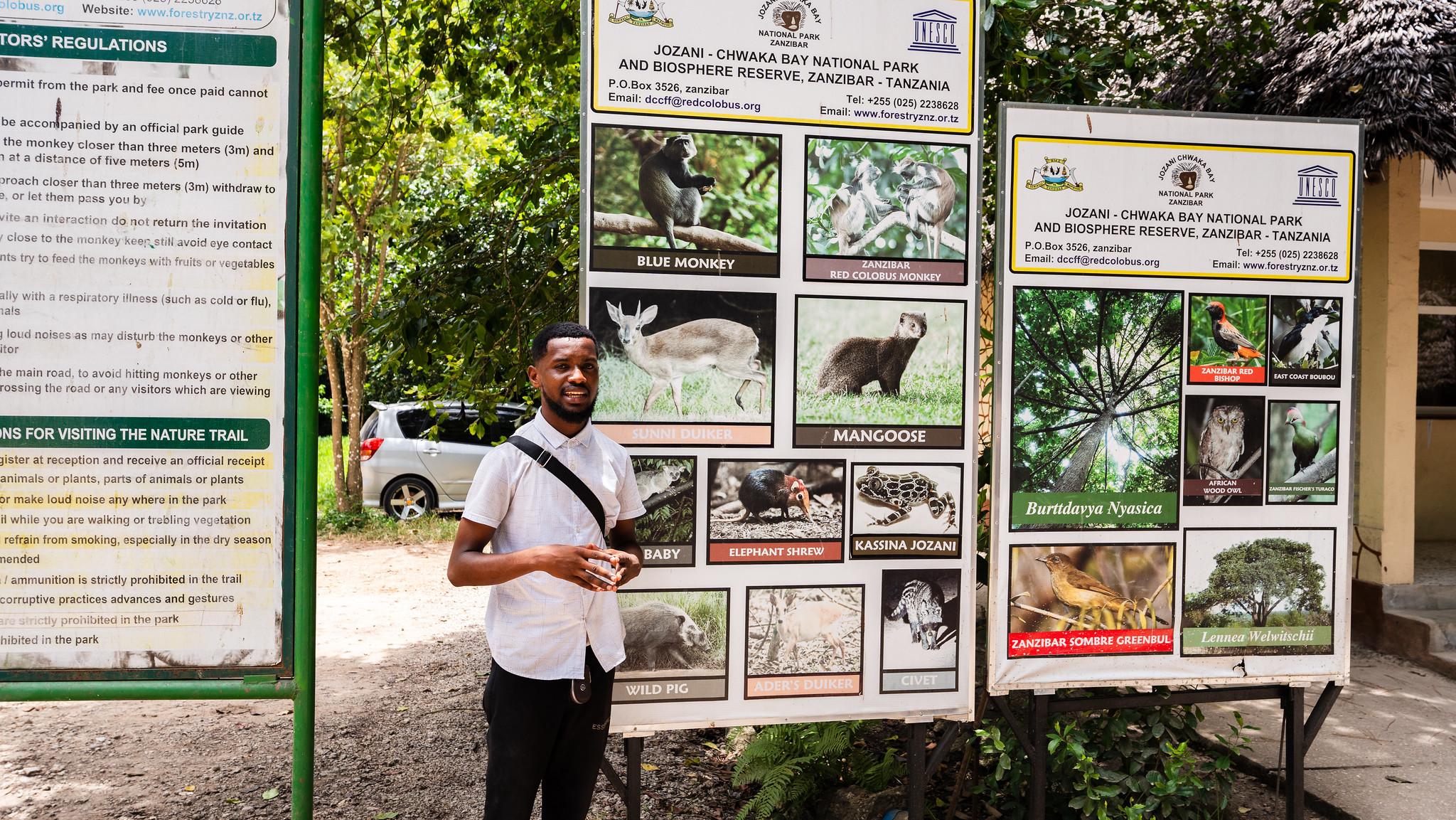 Zanzibar Hidden Gems: Secret Beach, Kuza Cave & Jozani Forest