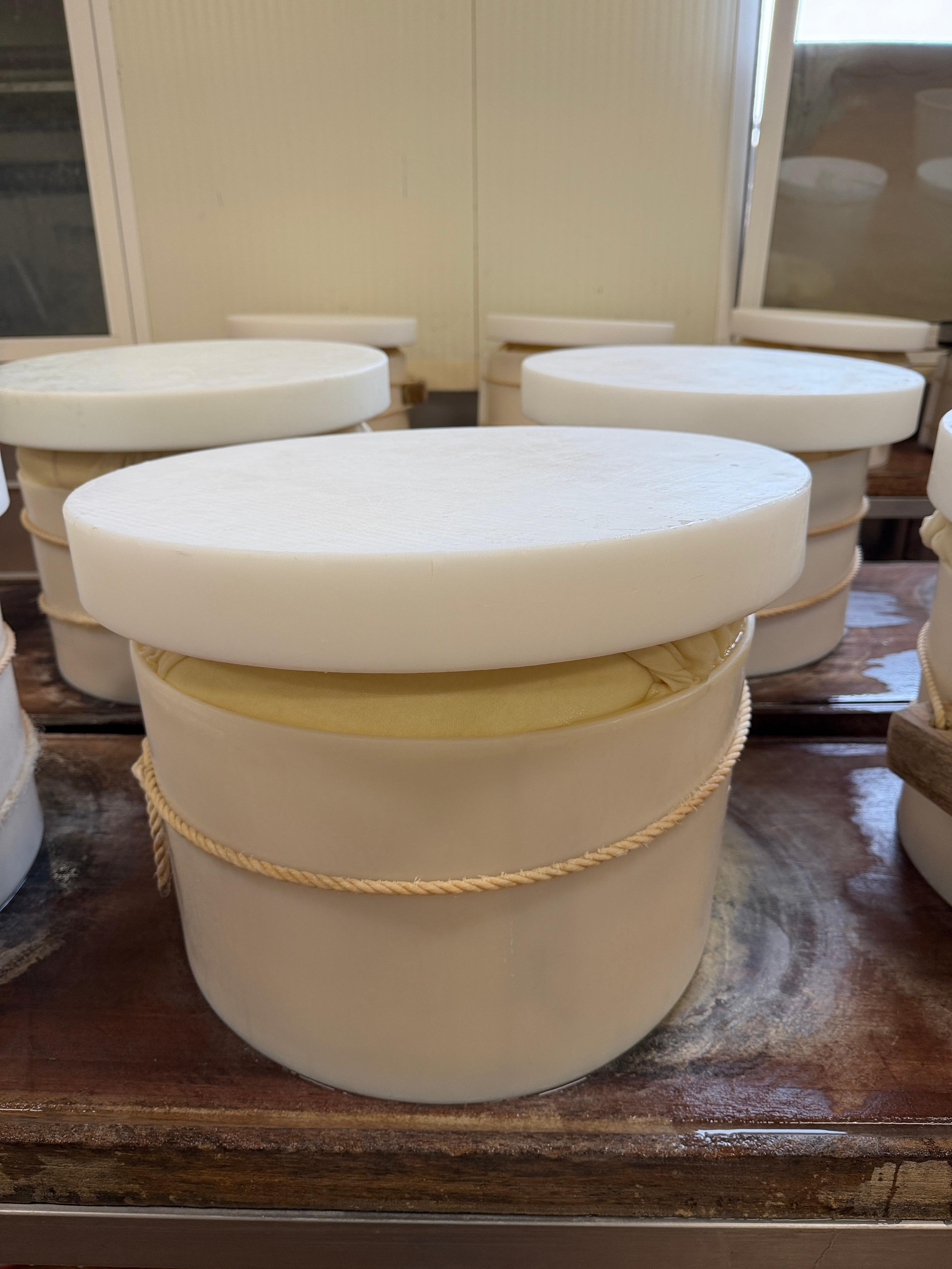 Bologna Food Tour: Parmesan & Balsamic Vinegar Experience with Lunch