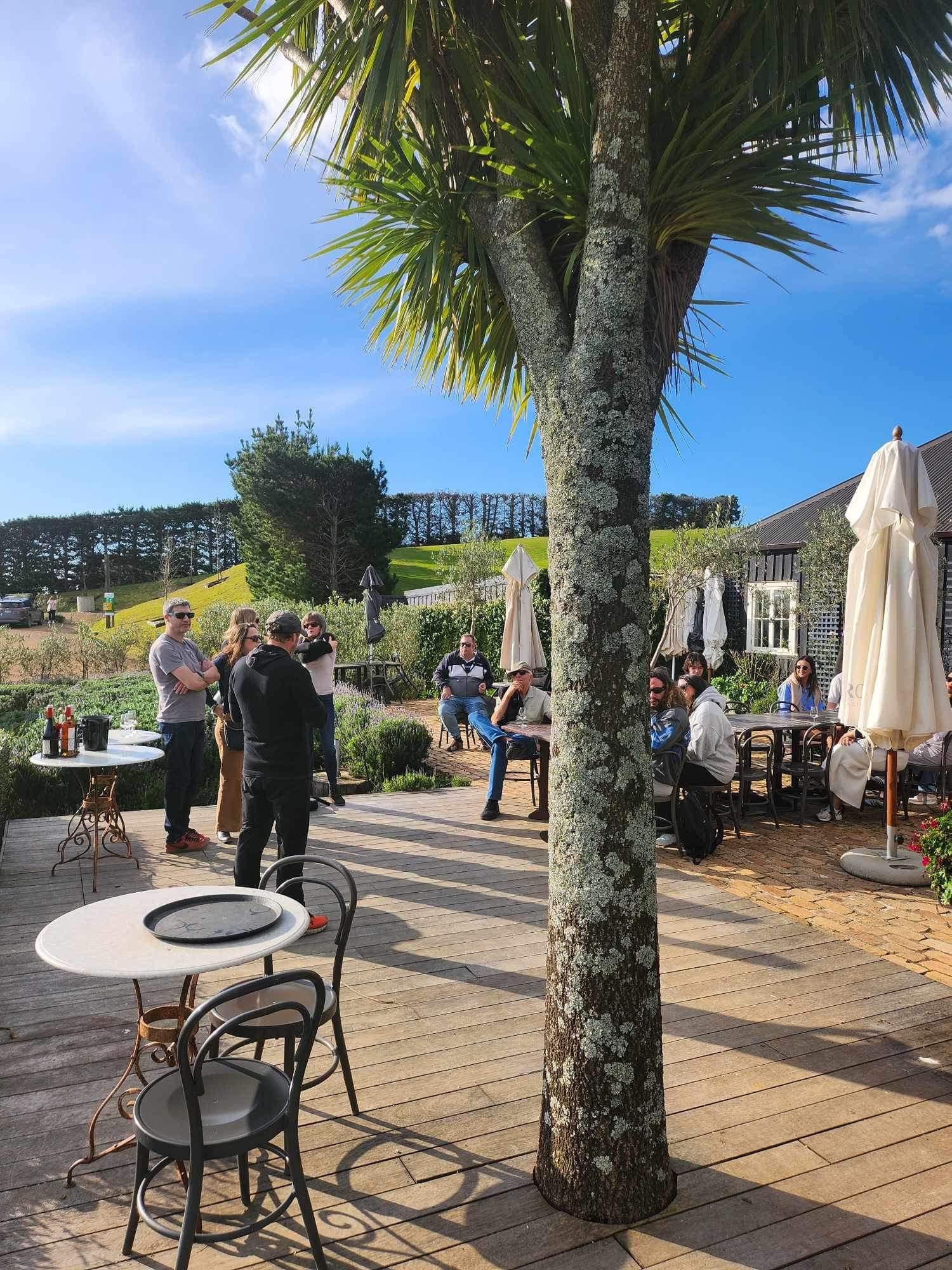 Waiheke Island wine tour — image 20