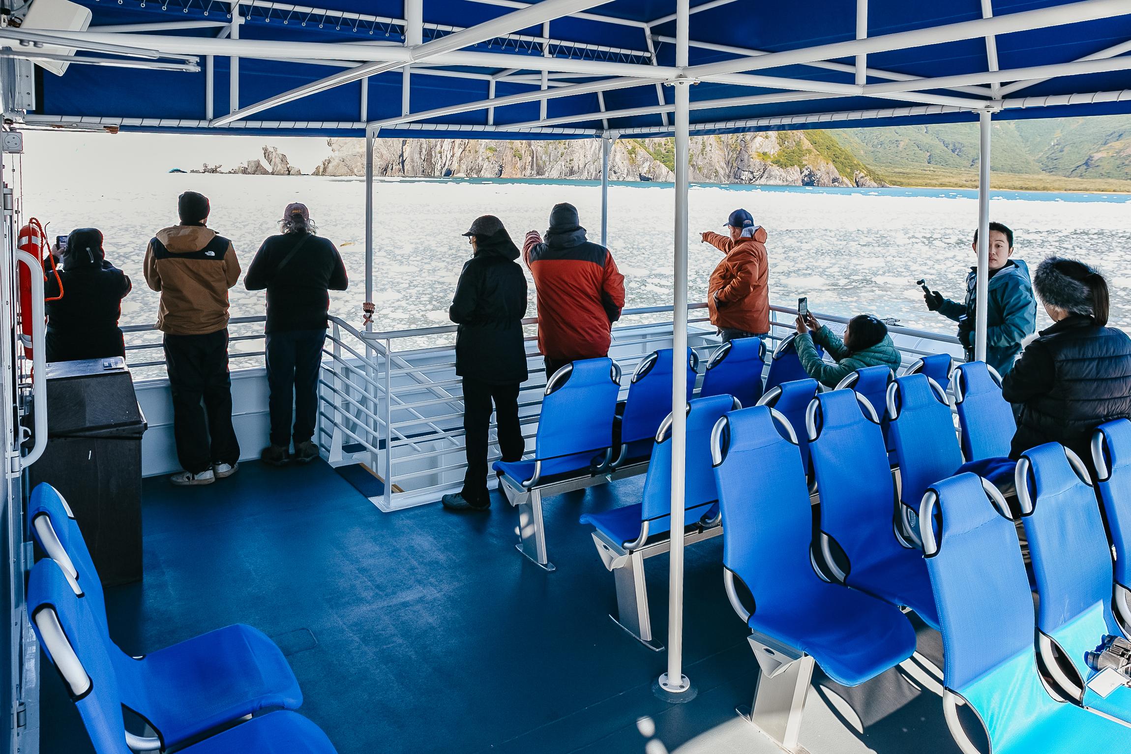Kenai Fjords glacier cruise from Seward — tidewater glaciers and Alaska marine wildlife — image 13