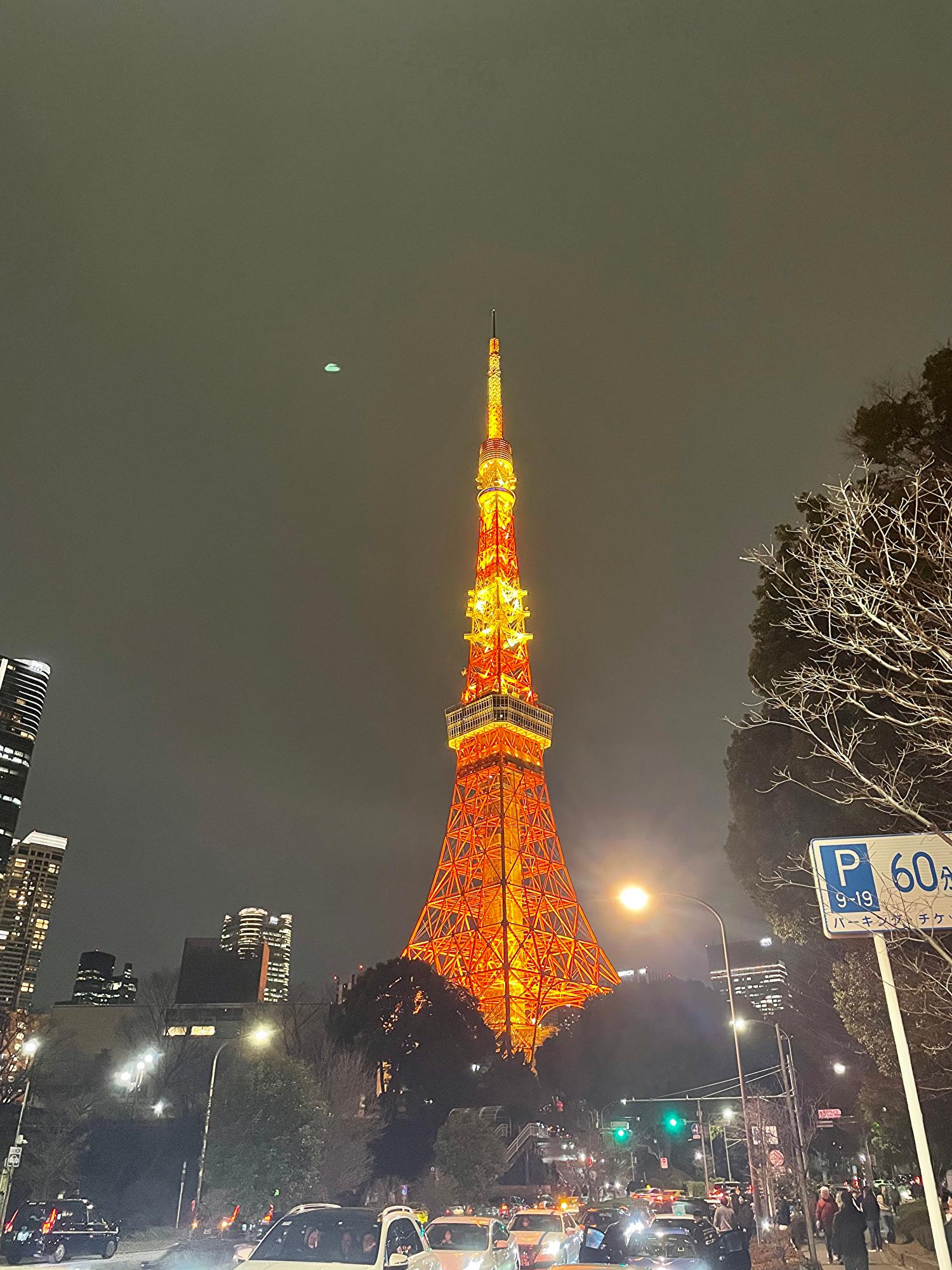 Tokyo Night Drive: JDM Culture & Photo Stops