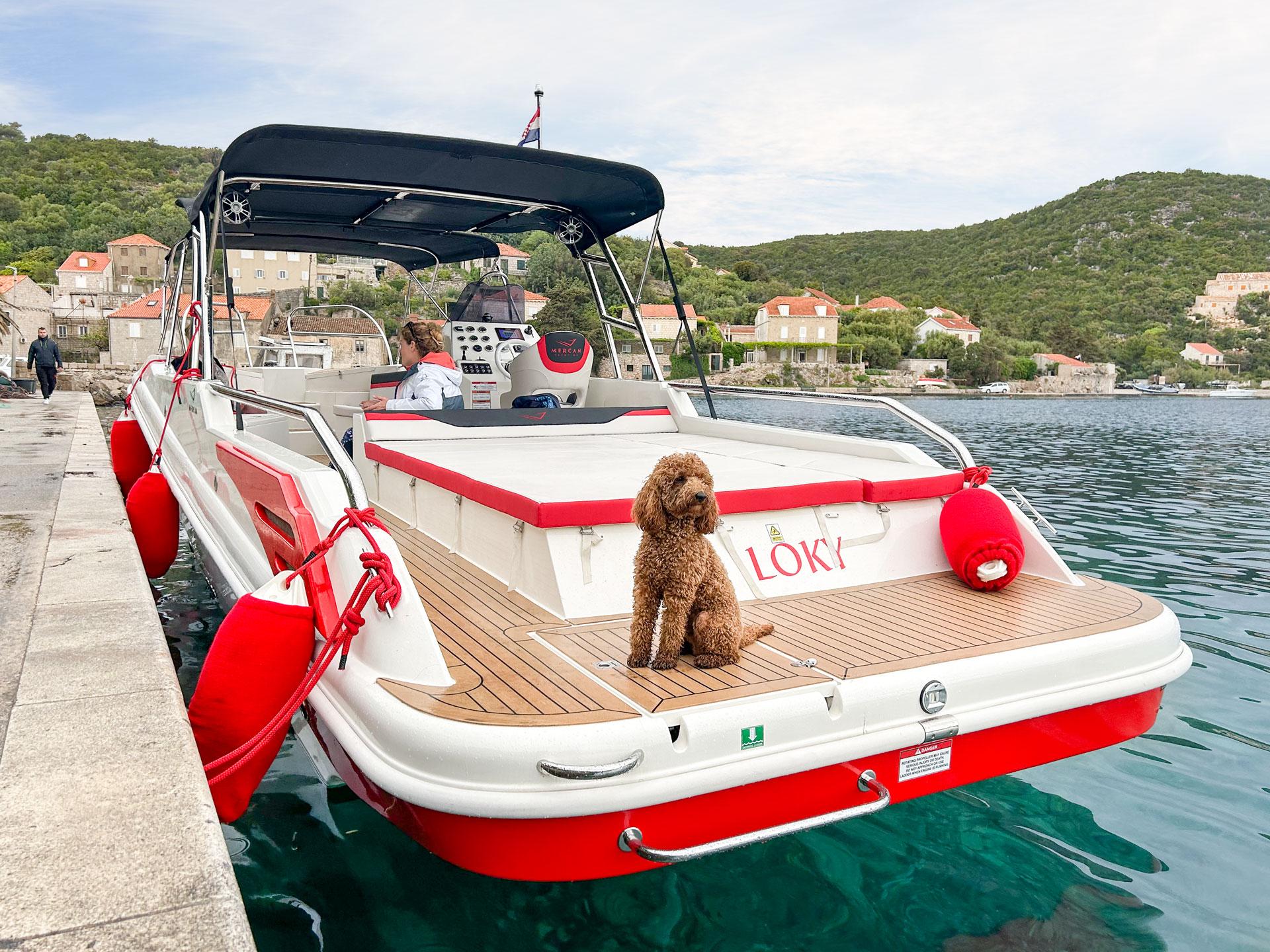 Blue Cave & Šunj Beach Speedboat Adventure from Dubrovnik