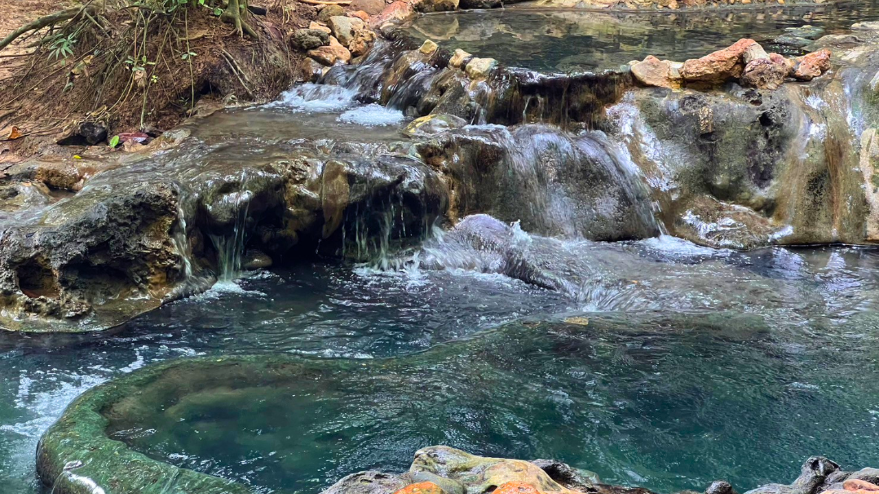 Krabi Jungle Day Tour: Emerald Pool, Hot Springs & Tiger Cave Temple