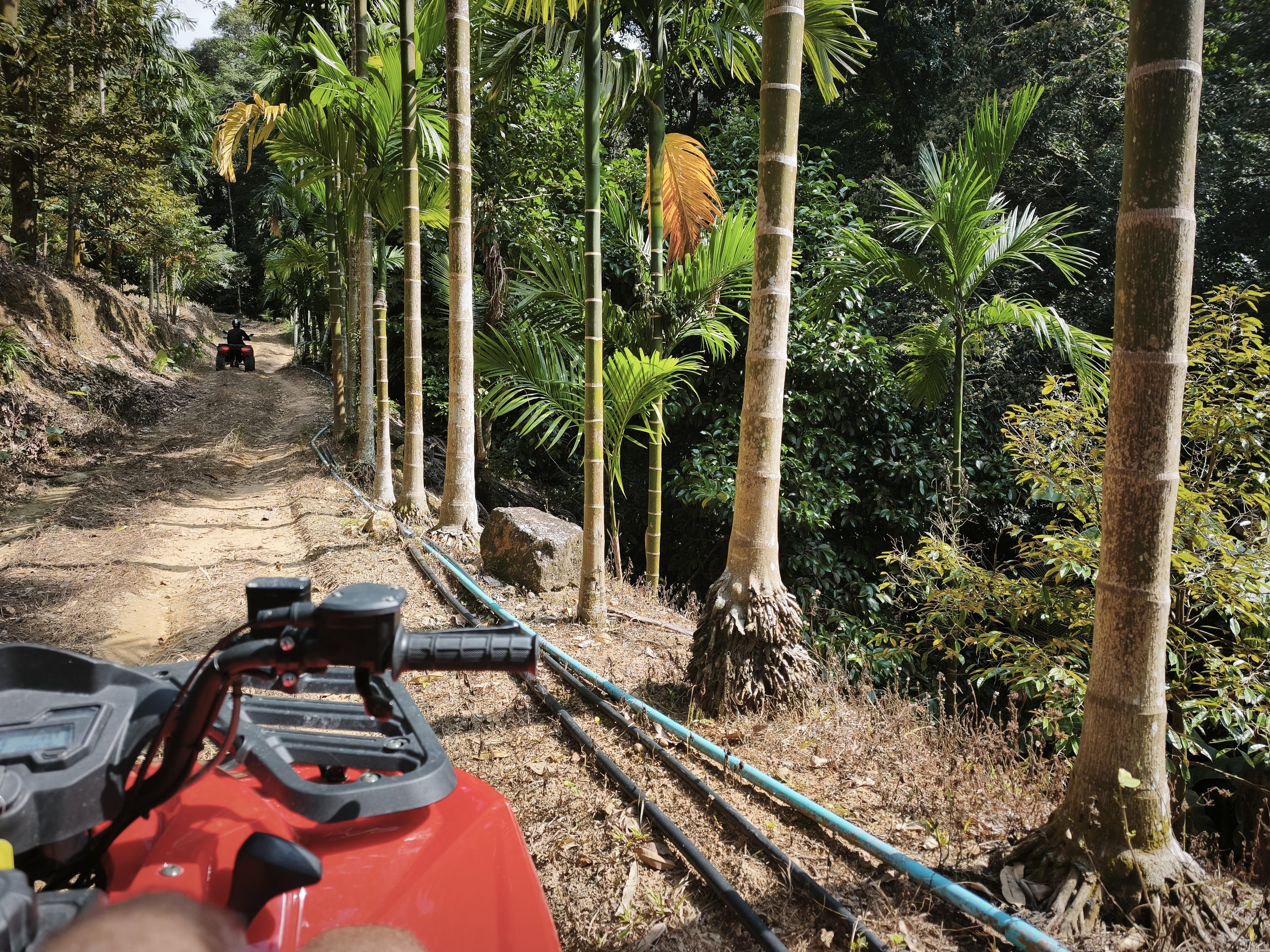 Koh Samui Jungle ATV Off-Road Expedition