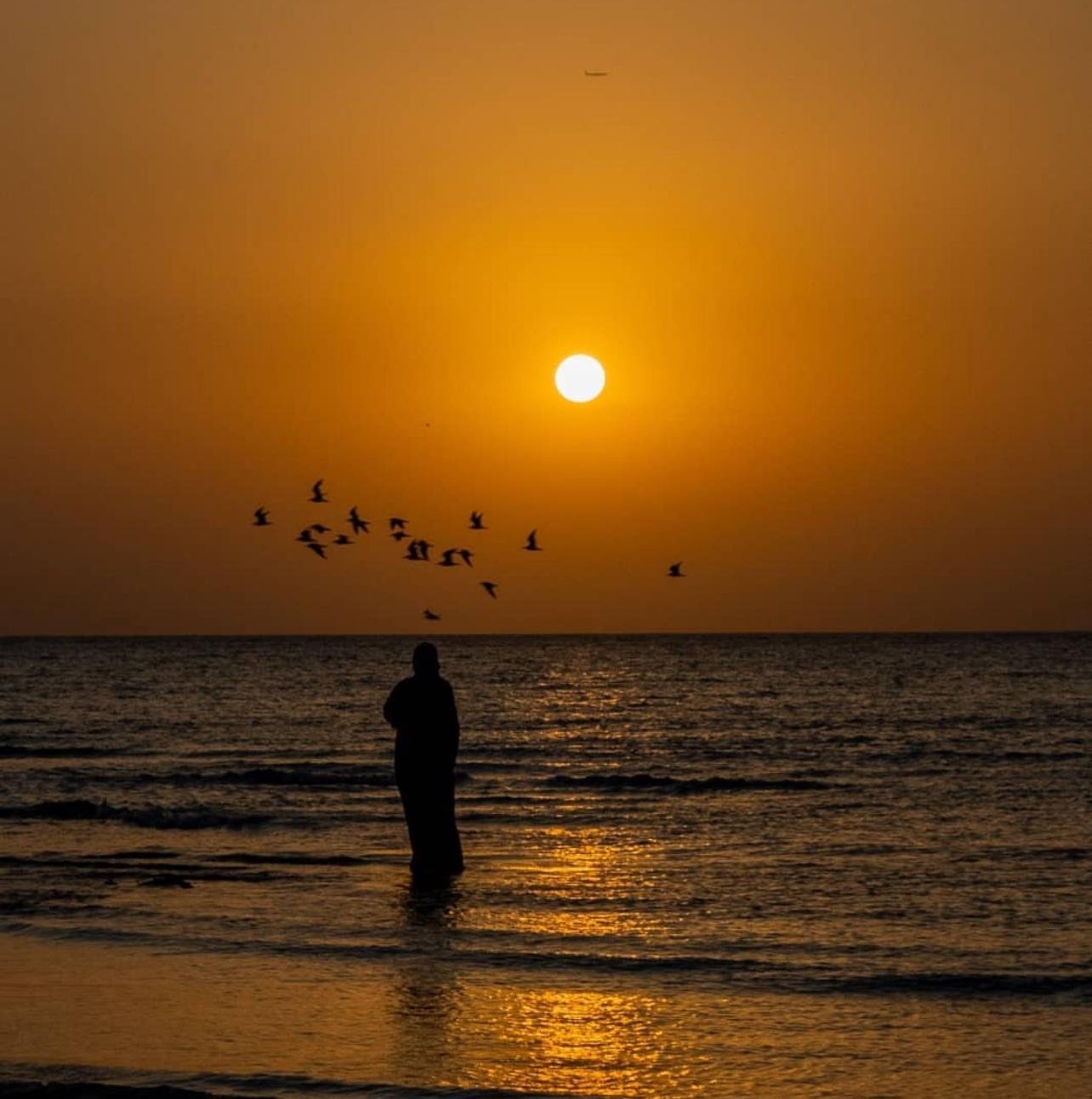 Doha Desert Safari: Sunset Dune Bashing, Camel Ride & Sandboarding