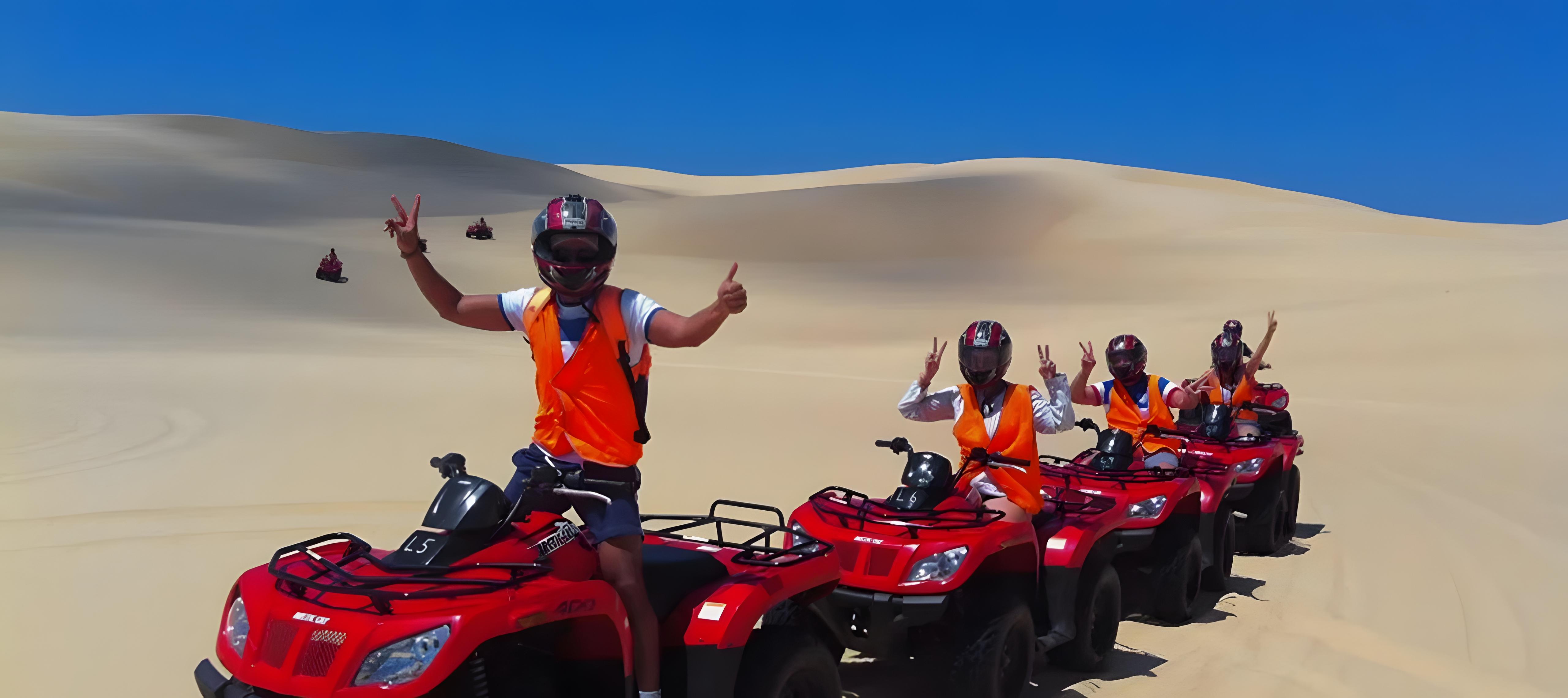 Port Stephens Dolphin Watching & Sandboarding Day Trip from Sydney