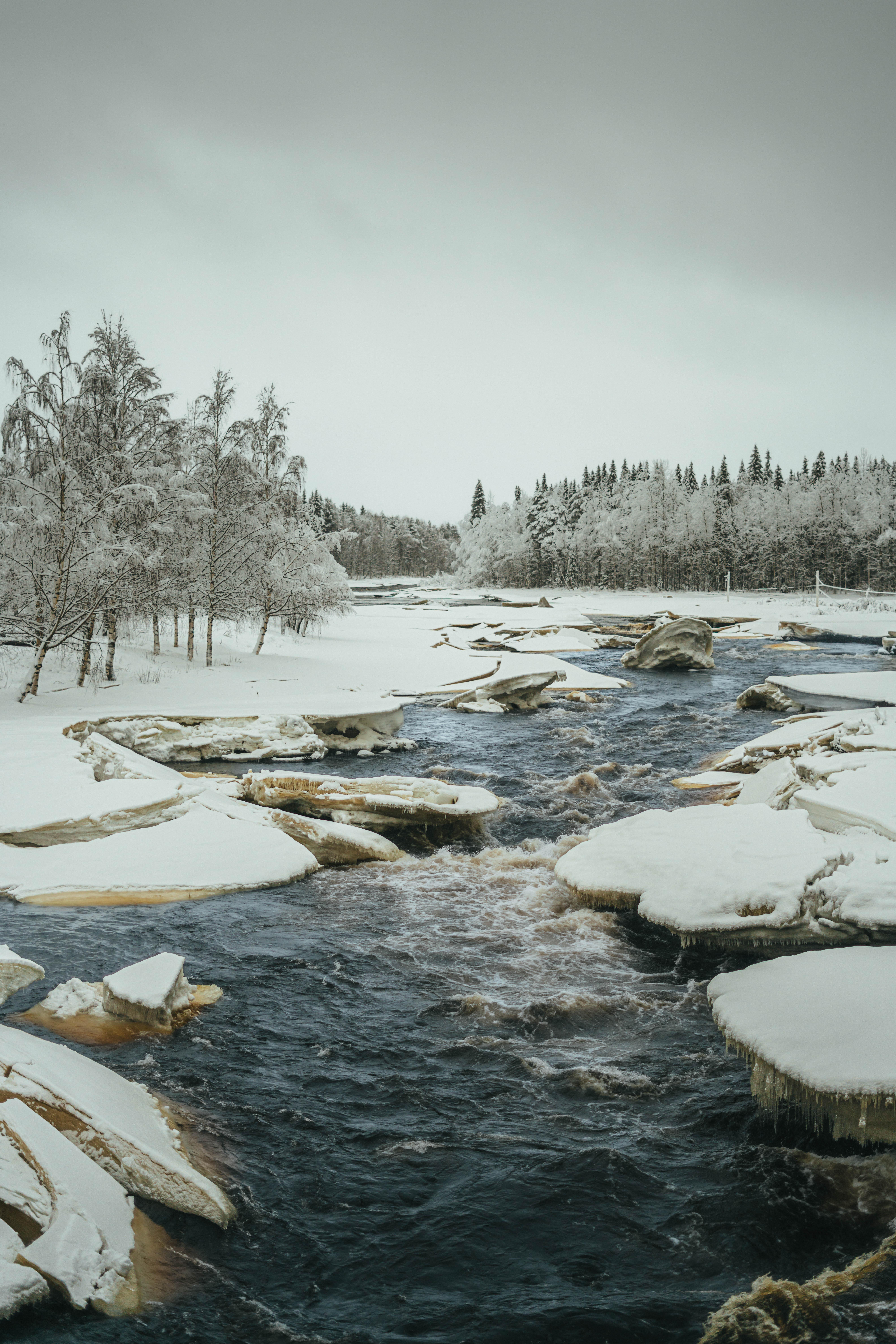 Rovaniemi Full-Day: Santa Claus Village, Arctic Nature & Arktikum Museum