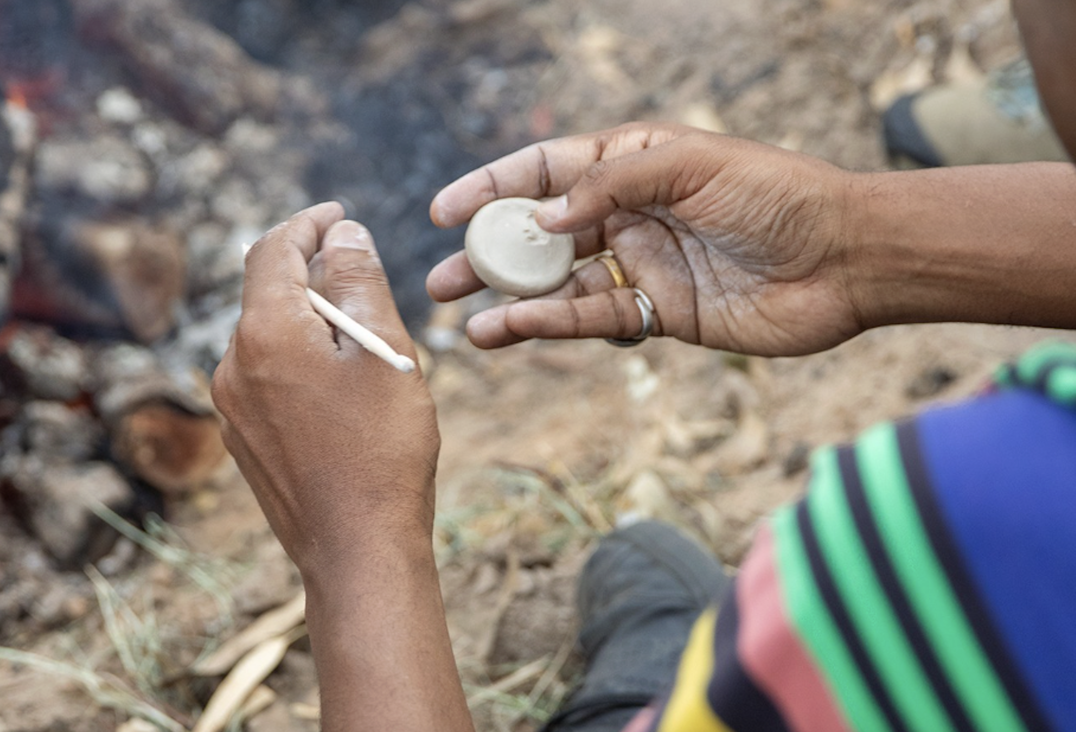5-Day Murray River Canoe Journey with Artist in Residence