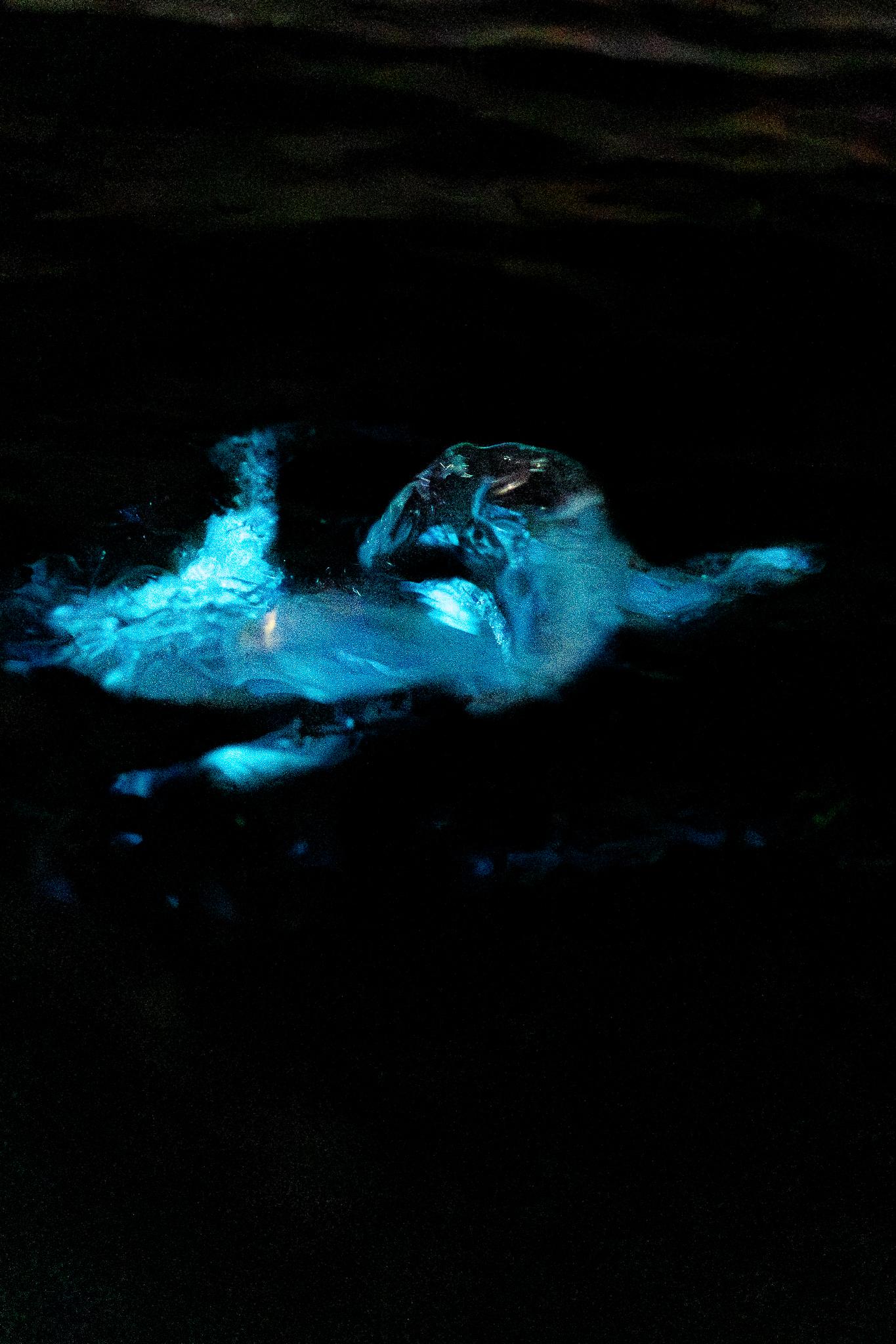 Bioluminescent Kayaking Adventure in Merritt Island