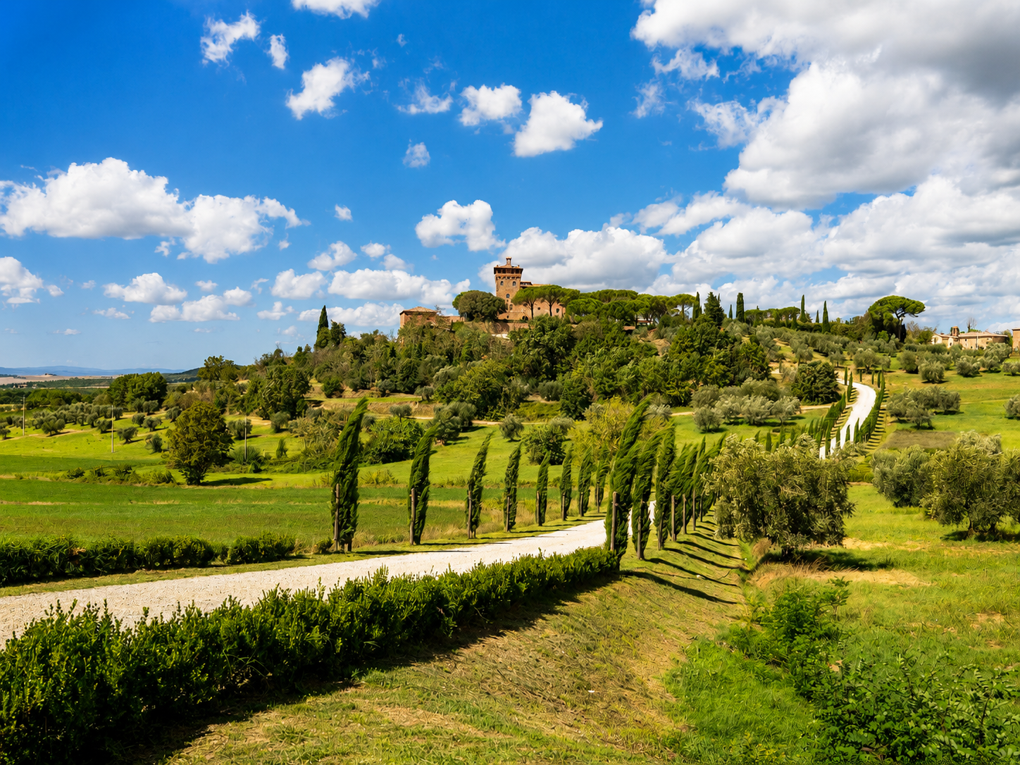Val d'Orcia Day Trip from Florence: Montepulciano, Pienza & Montalcino