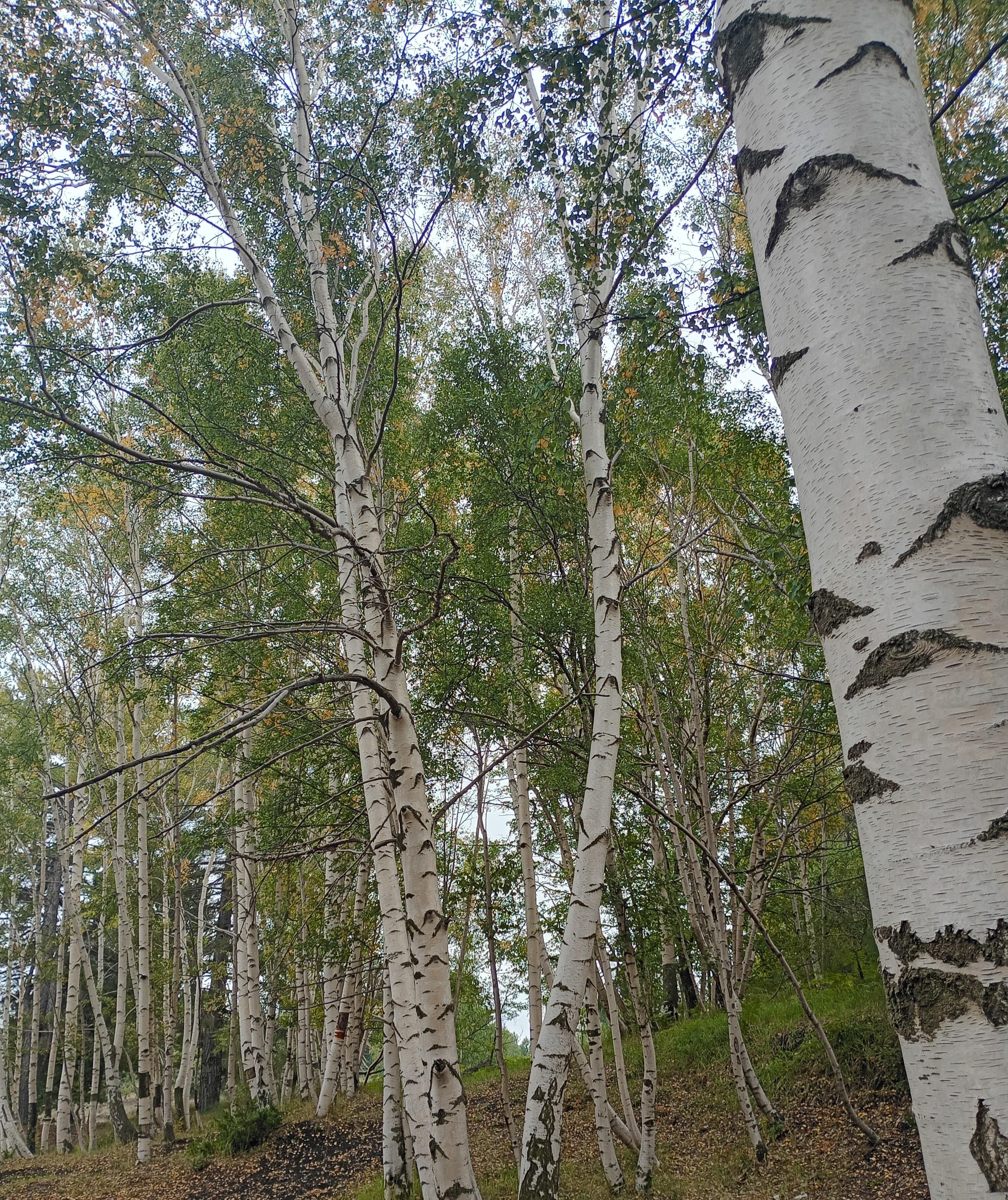 Mount Etna guided tour photo — image 18