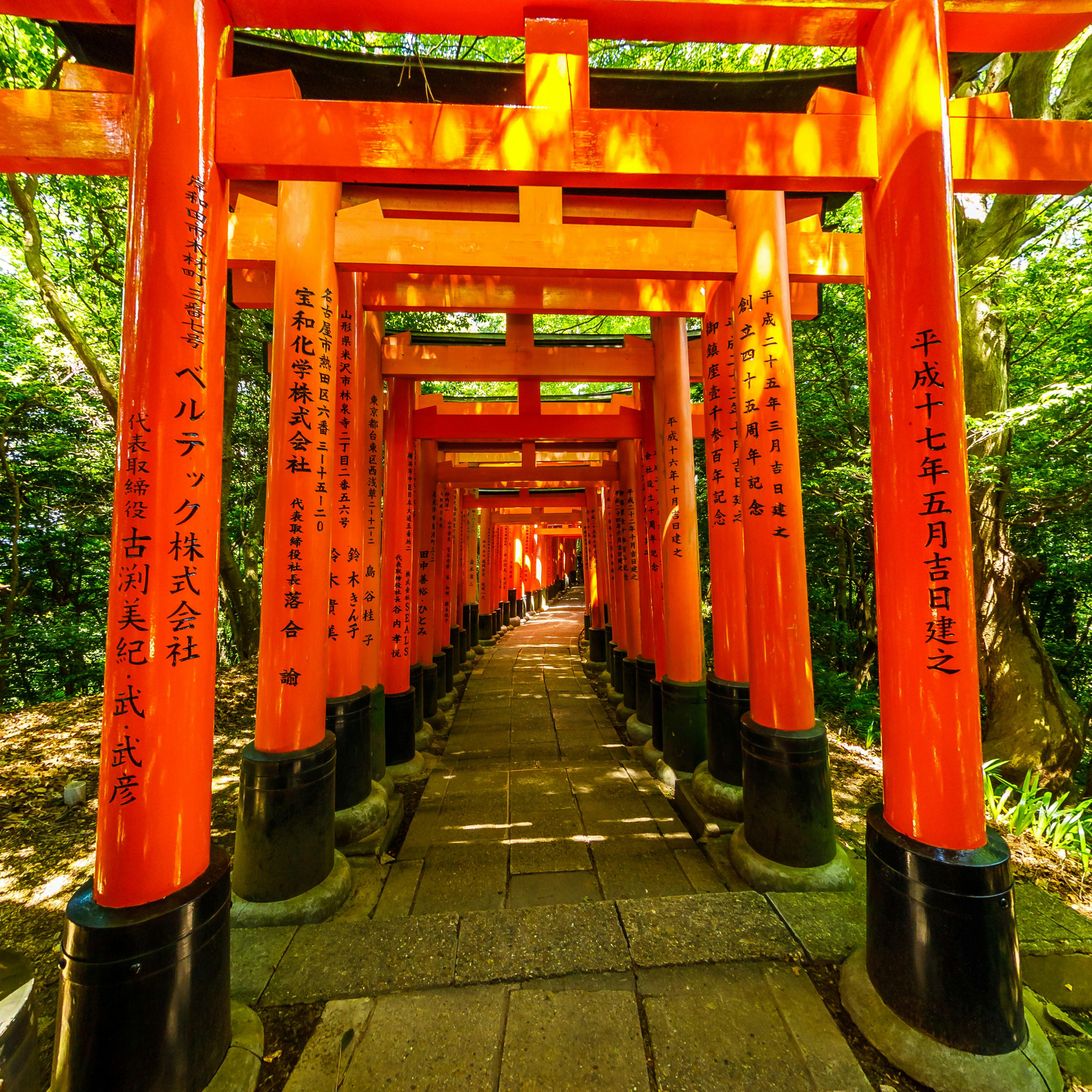 嵐山ガイド付きウォーキングツアー：竹林、禅寺、モンキーパーク