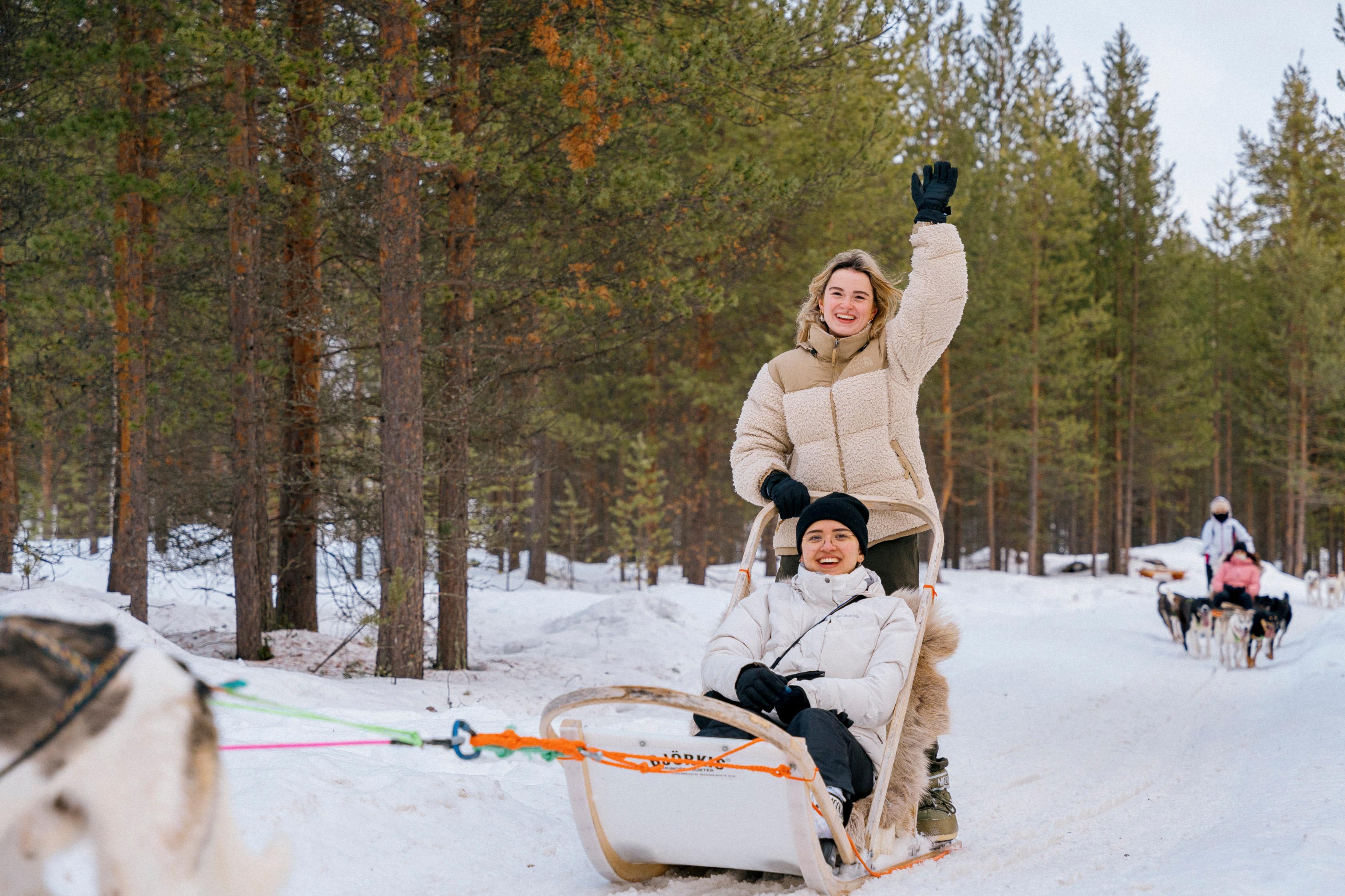 Saariselkä: 10km Husky Sled Safari & Kennel Tour