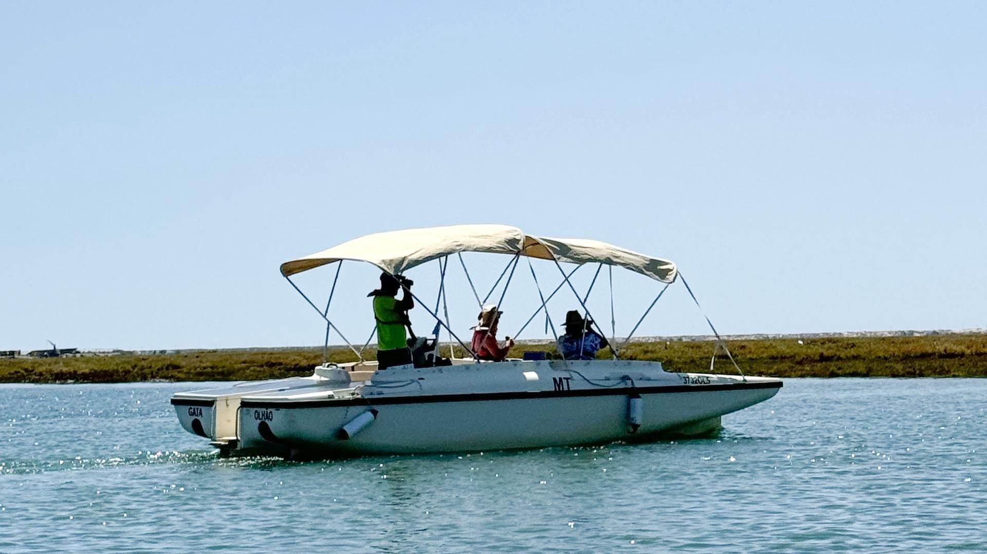 Faro: Ria Formosa Boat Tour by Eco-Friendly Solar Boat