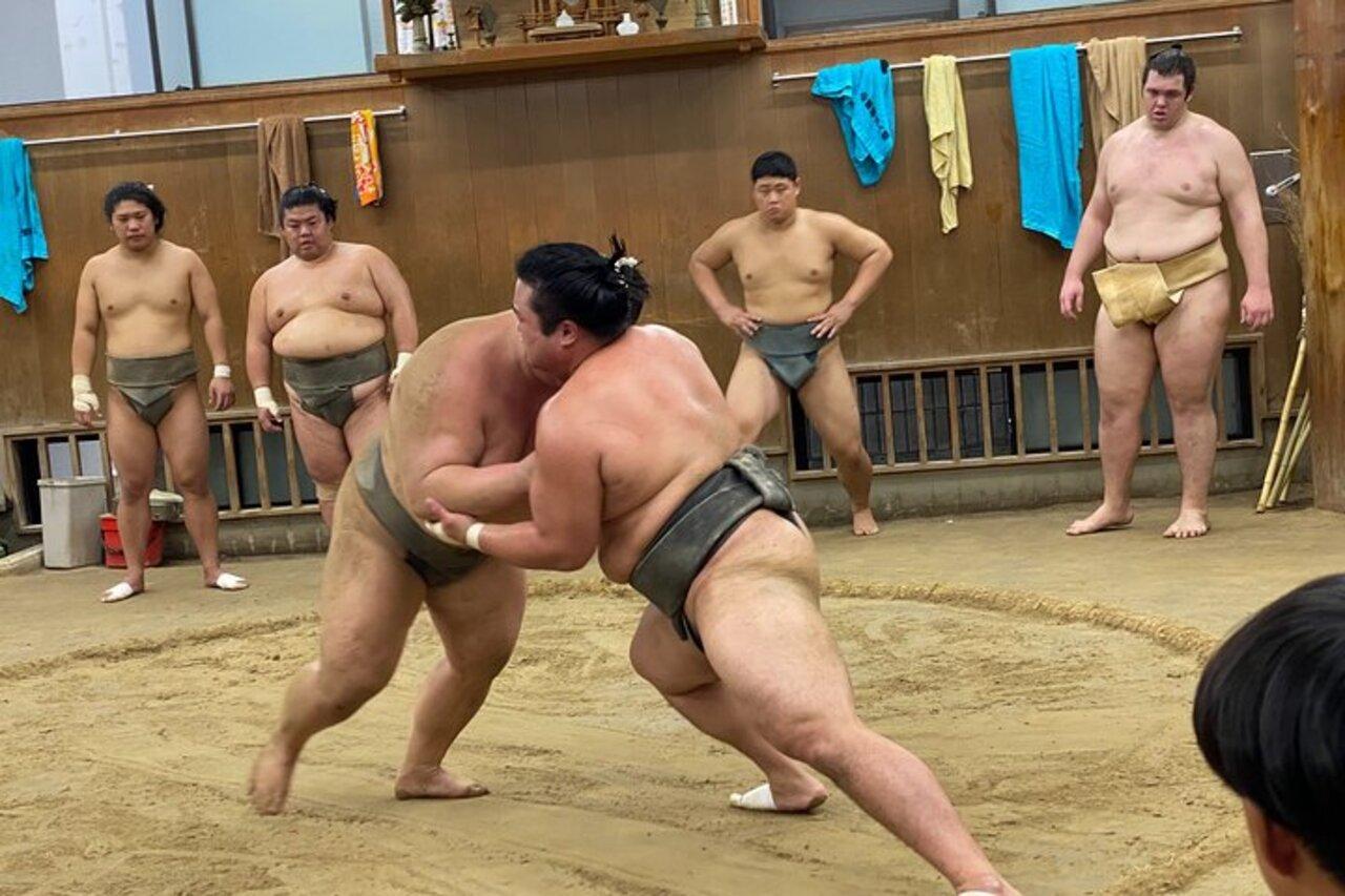 Tokyo Sumo Morning Practice Tour with Ringside Access
