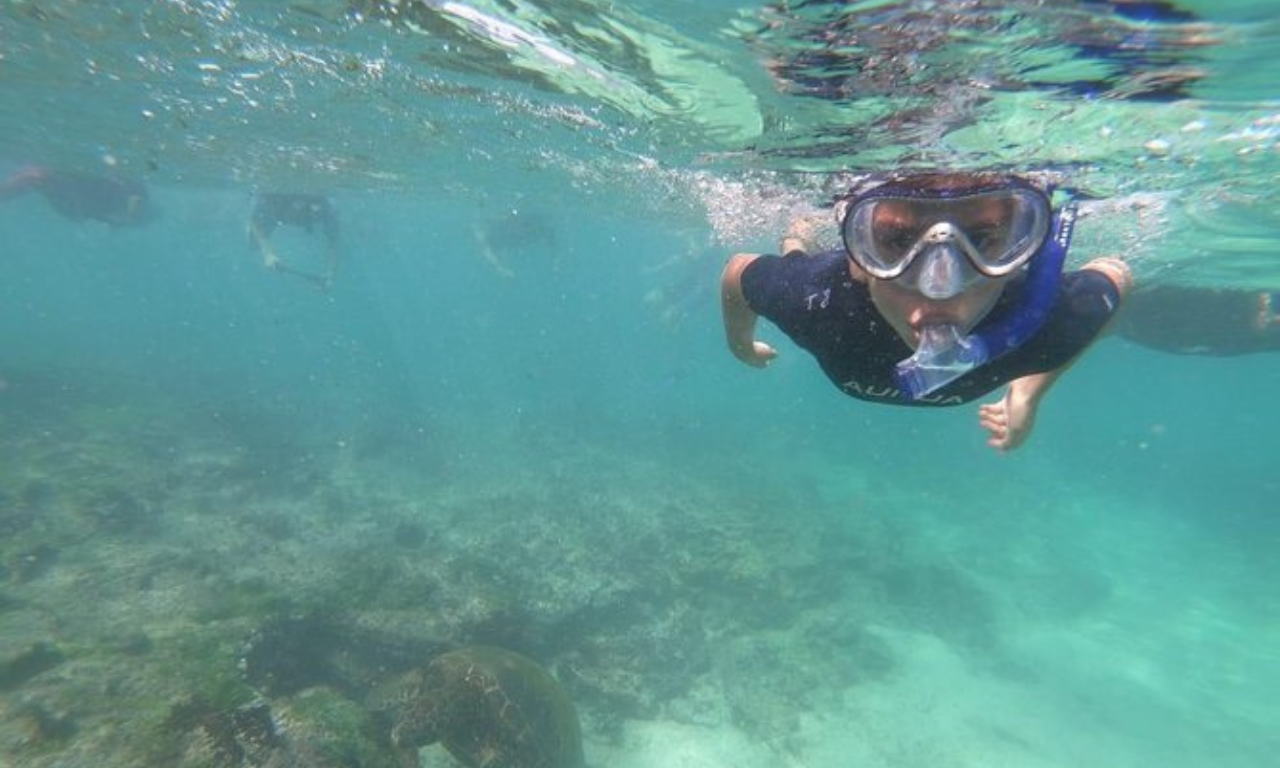 Isabela Island: Half-Day Tintoreras Islets Snorkeling Tour