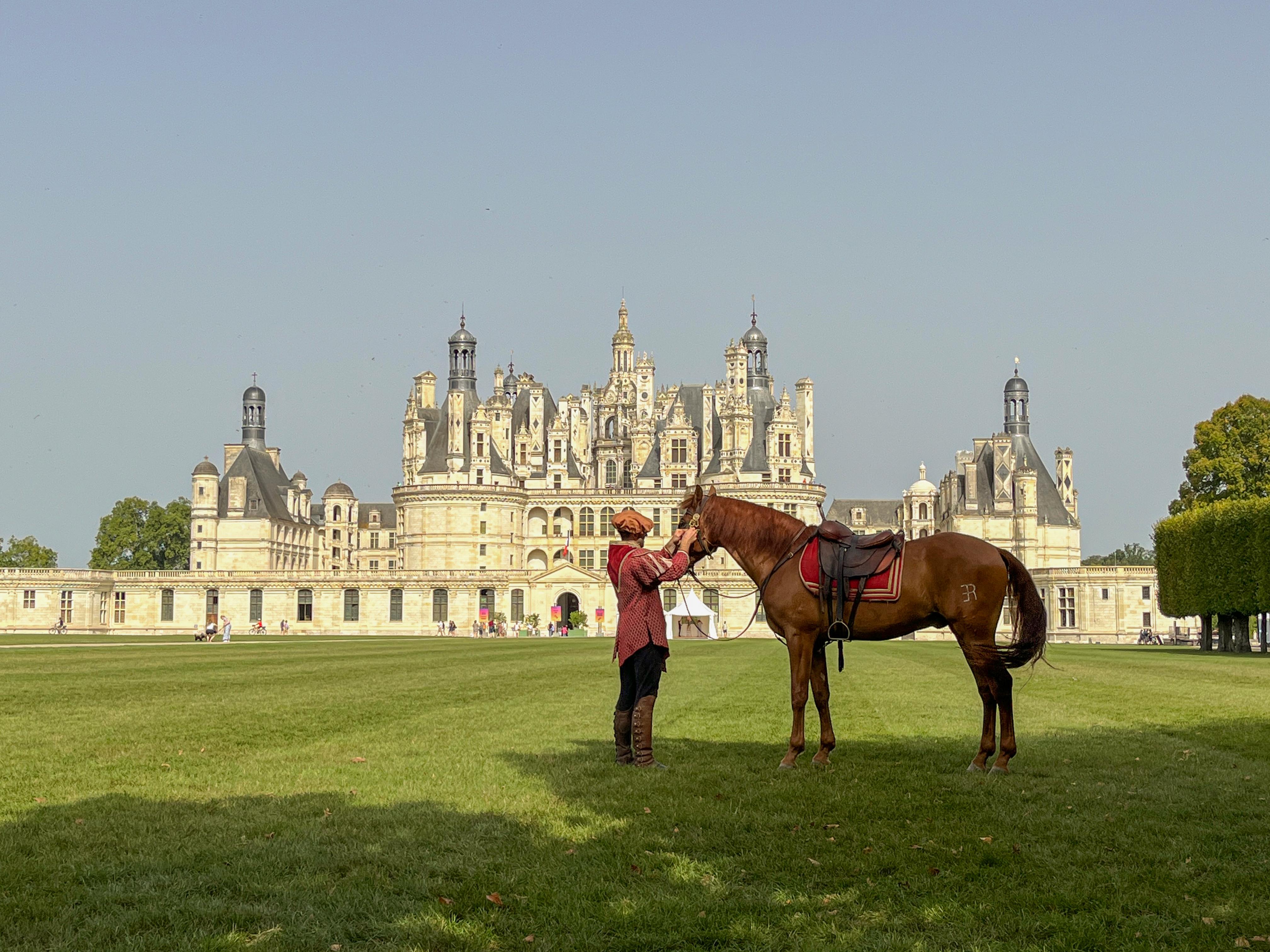 Loire Valley Castles & Wine Tasting Day Trip from Paris