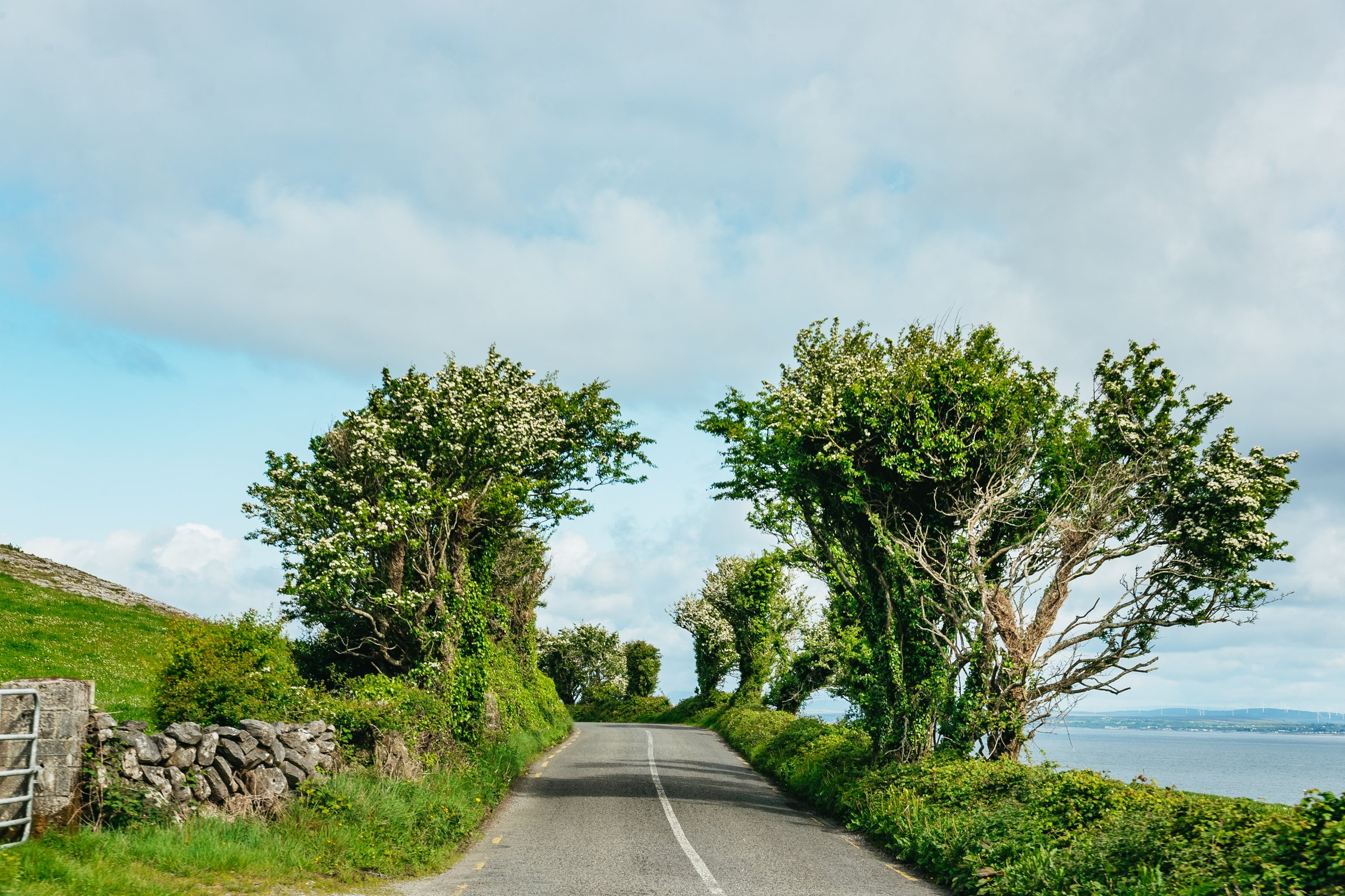 Aran Islands & Cliffs of Moher Full-Day Tour from Galway