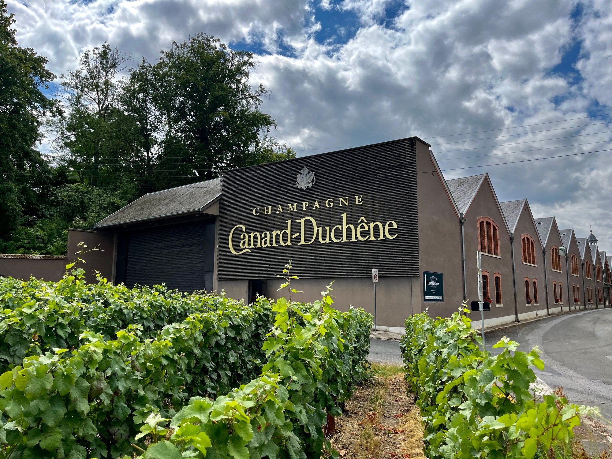 champagne tour in Reims — photo 13