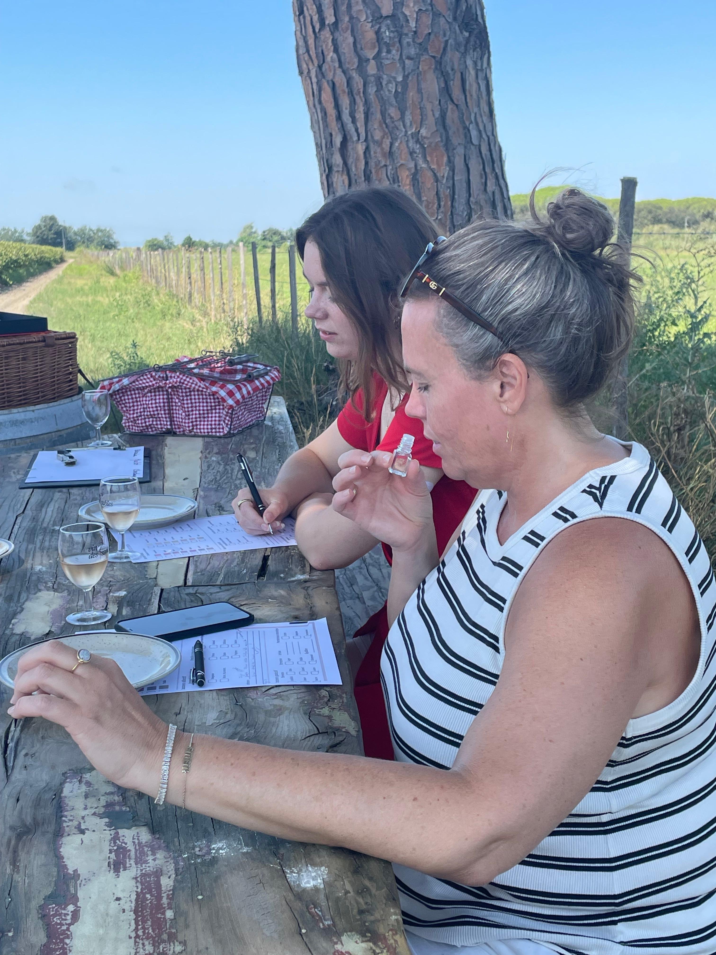 Camargue Discovery: Flamingos, Local Wine & Medieval Town