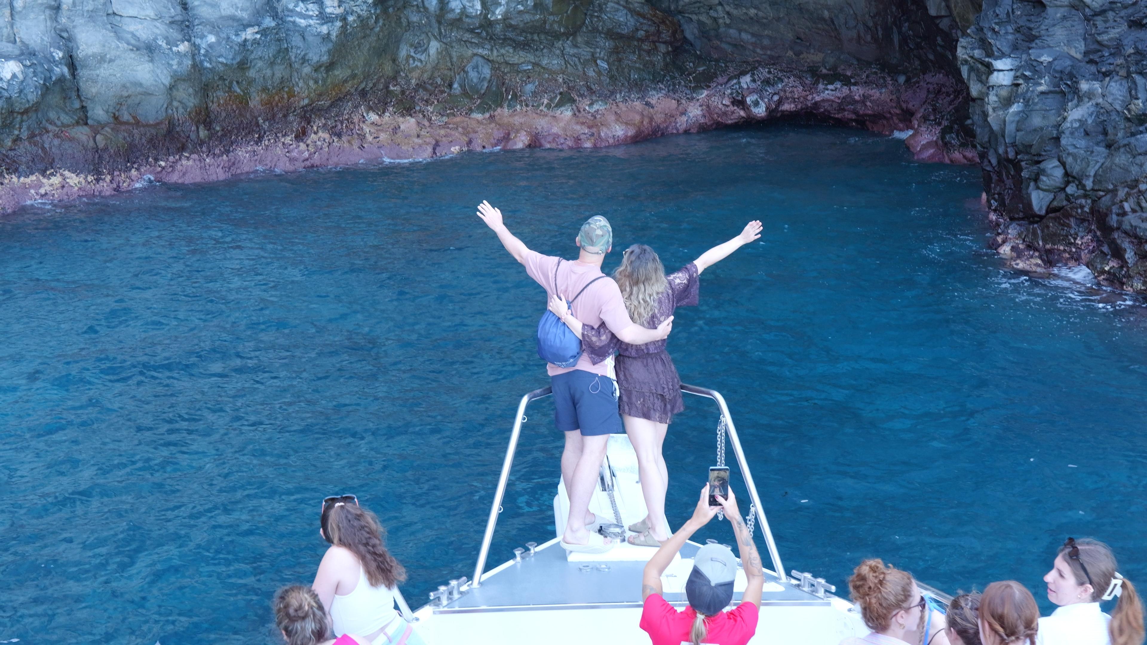 Tenerife Eco-Yacht Whale & Dolphin Watching Cruise