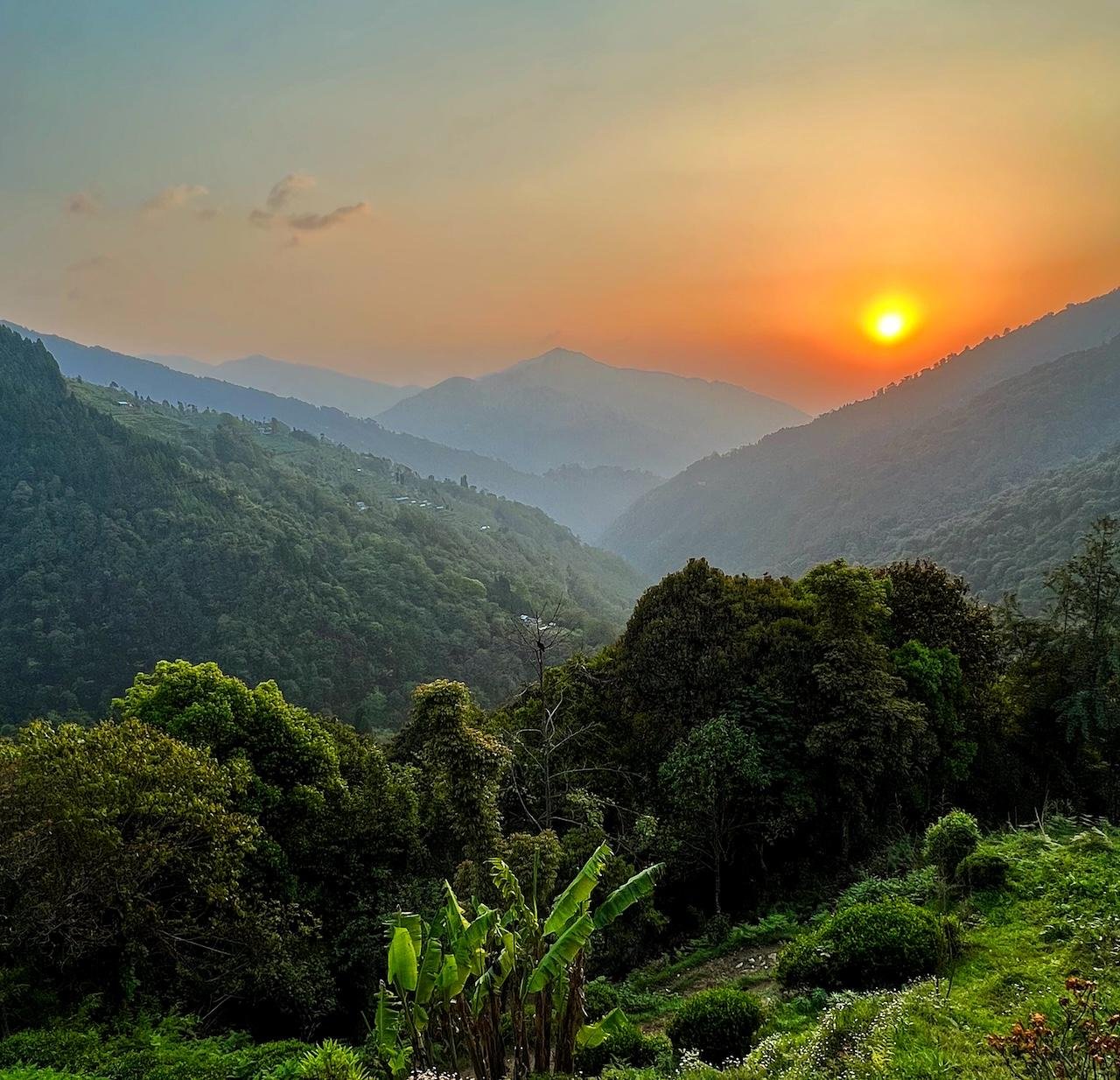 Darjeeling: Tiger Hill Sunrise & Guided Trekking Day Tour