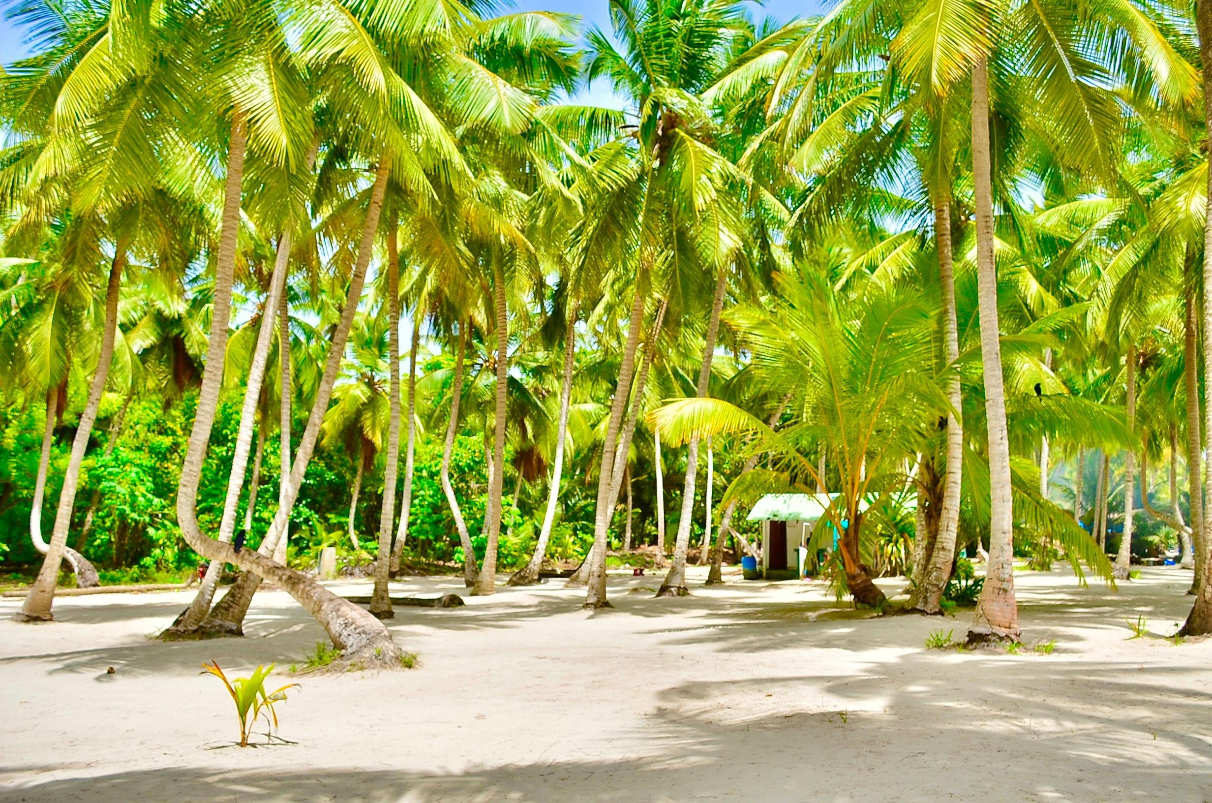 Saona Island boat tour — image 18
