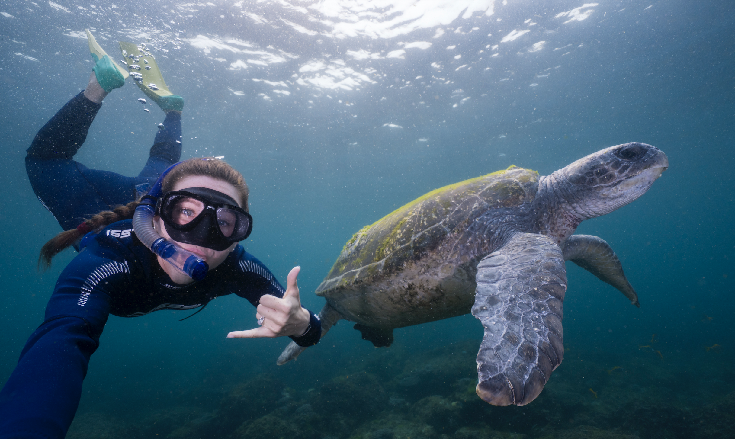 Cook Island Turtle Snorkeling Adventure