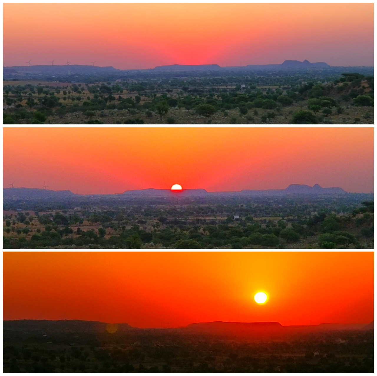 Thar Desert Overnight Camel Safari & Village Stay
