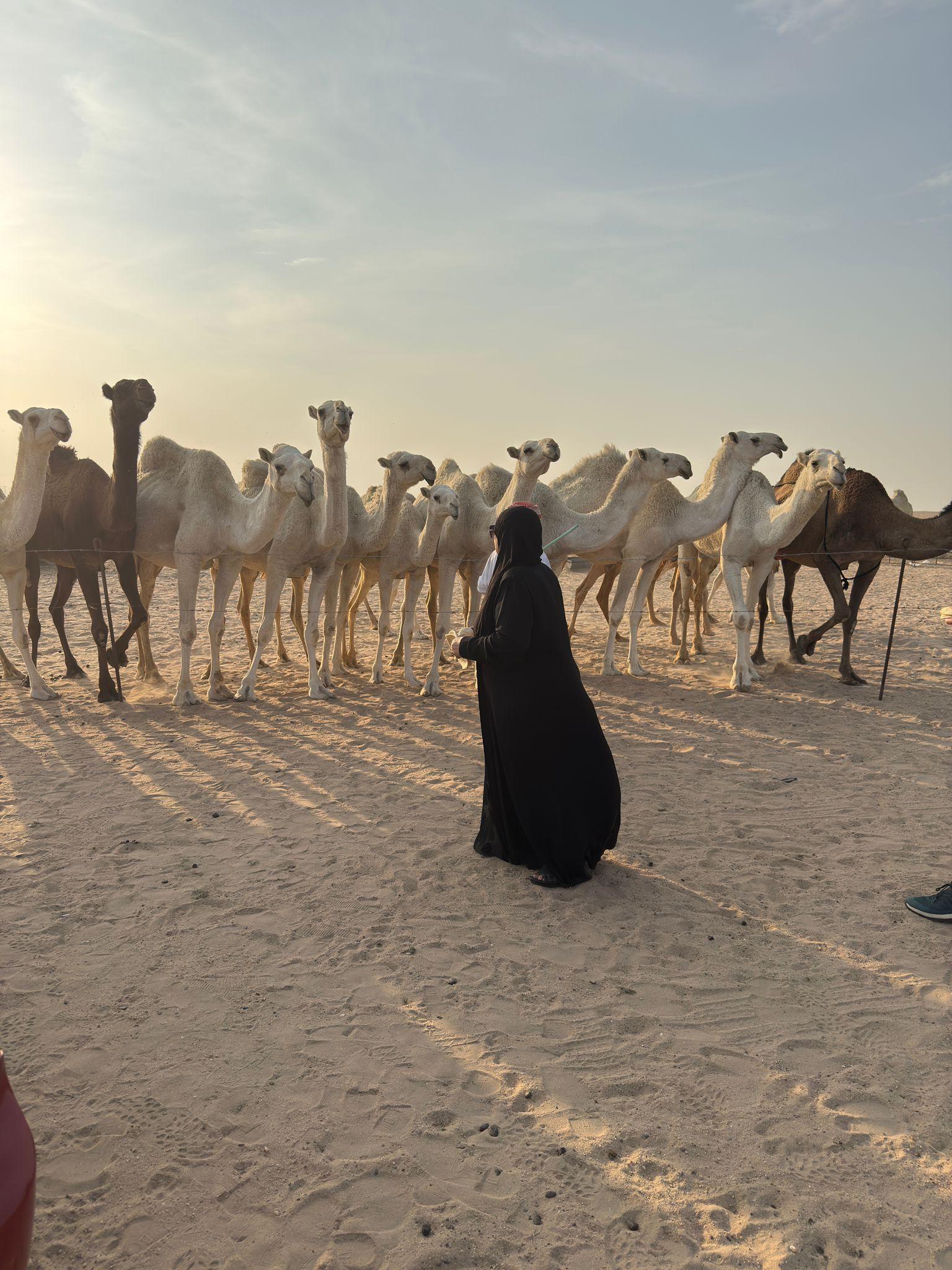 Kuwait City & Desert Adventure with Buggy Ride