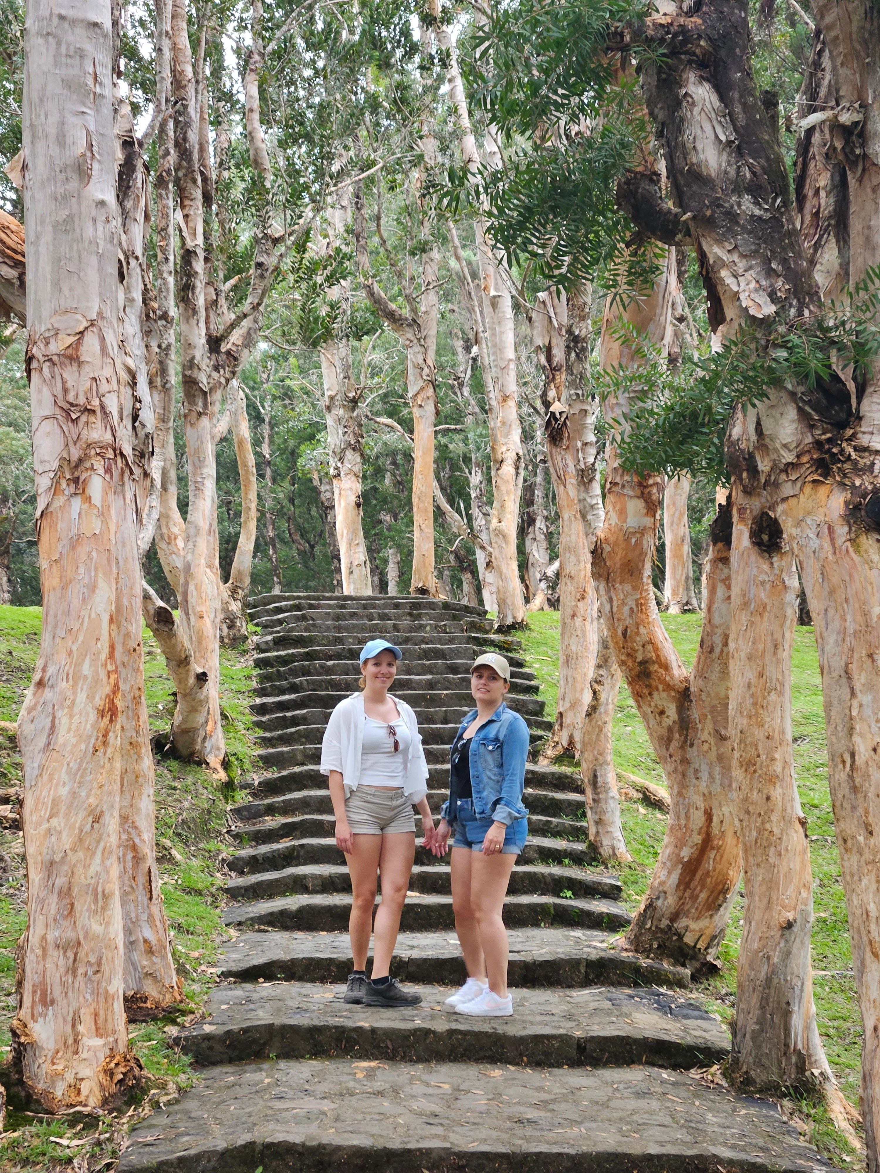 Private Southwest Mauritius: Chamarel & Nature Highlights