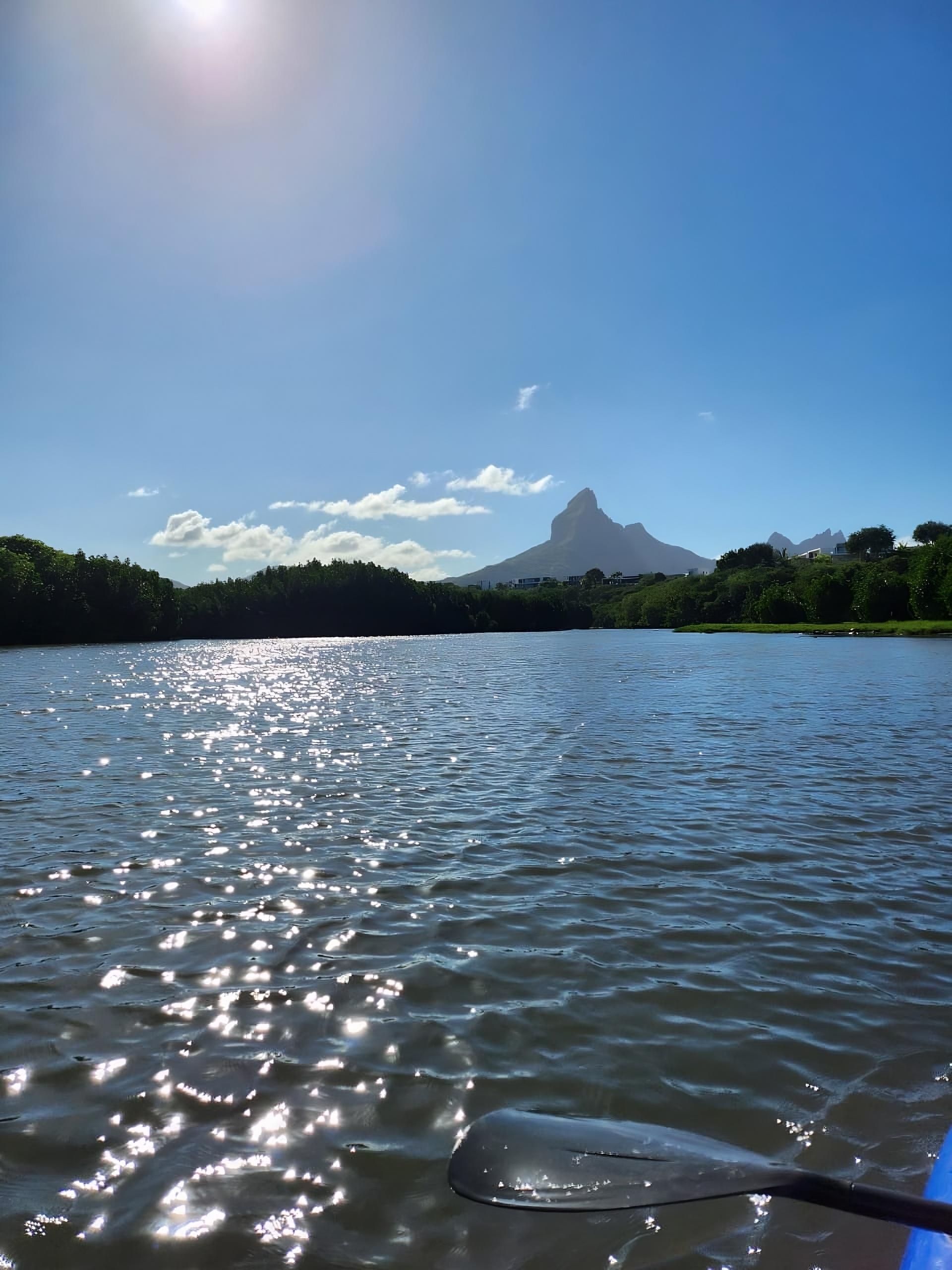 Guided Kayak Adventure on Rempart River with Monkey Spotting