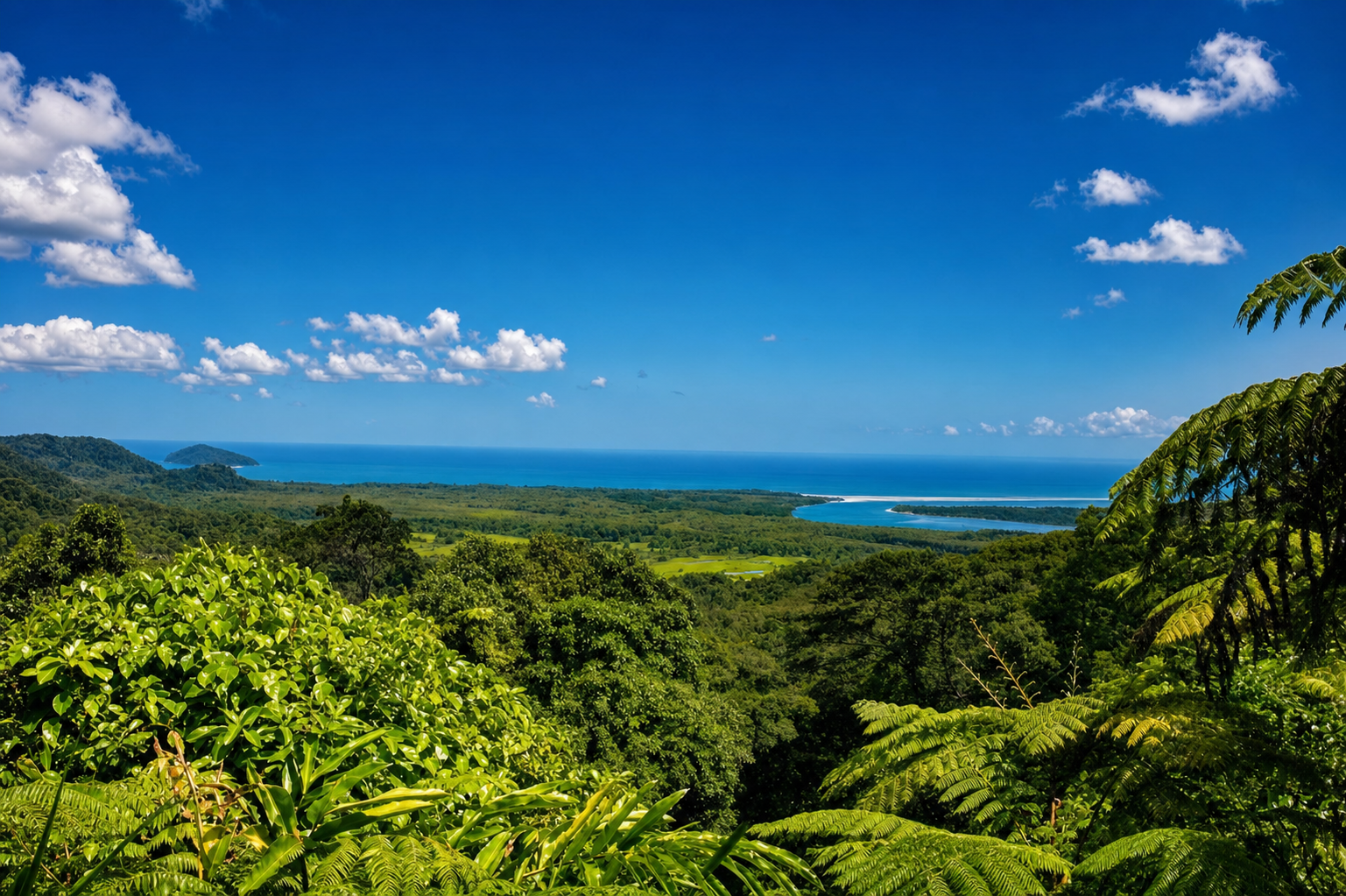 Cairns: Full-Day Cape Tribulation & Daintree Rainforest Tour