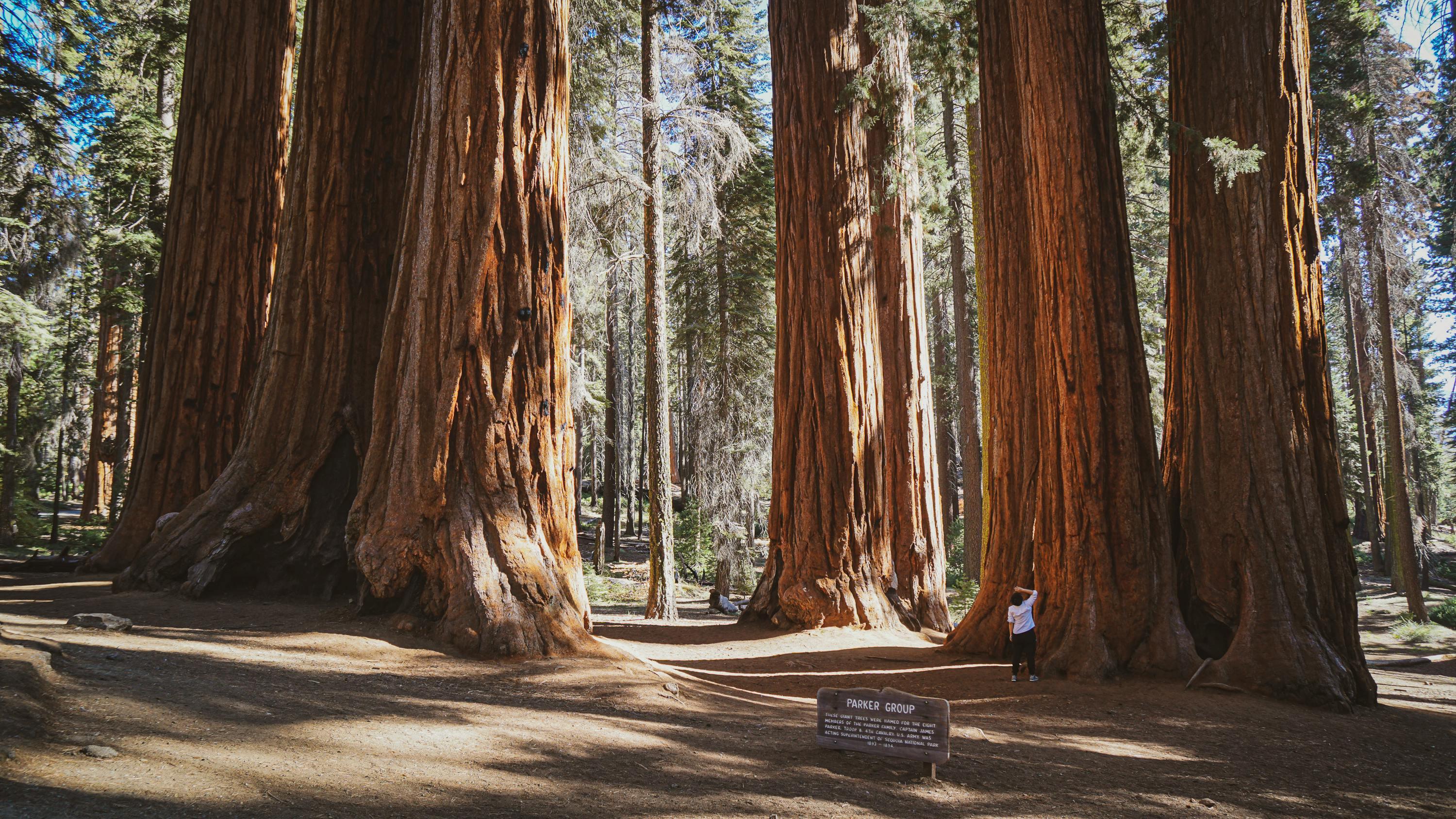 3-Day Yosemite National Park Tour from Los Angeles