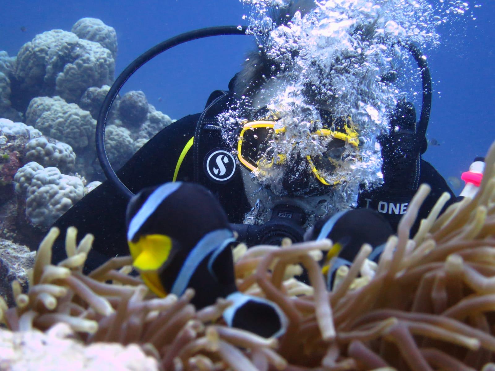Belle Mare Scuba Discovery: East Coast Mauritius Dive