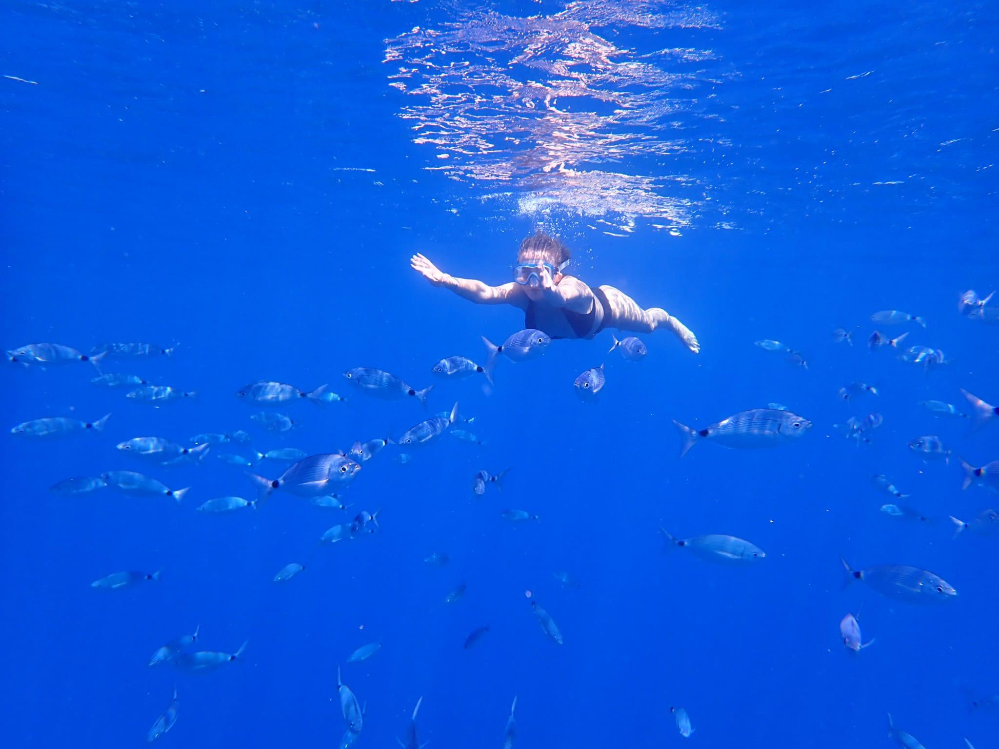 Benidorm Island Snorkeling Adventure