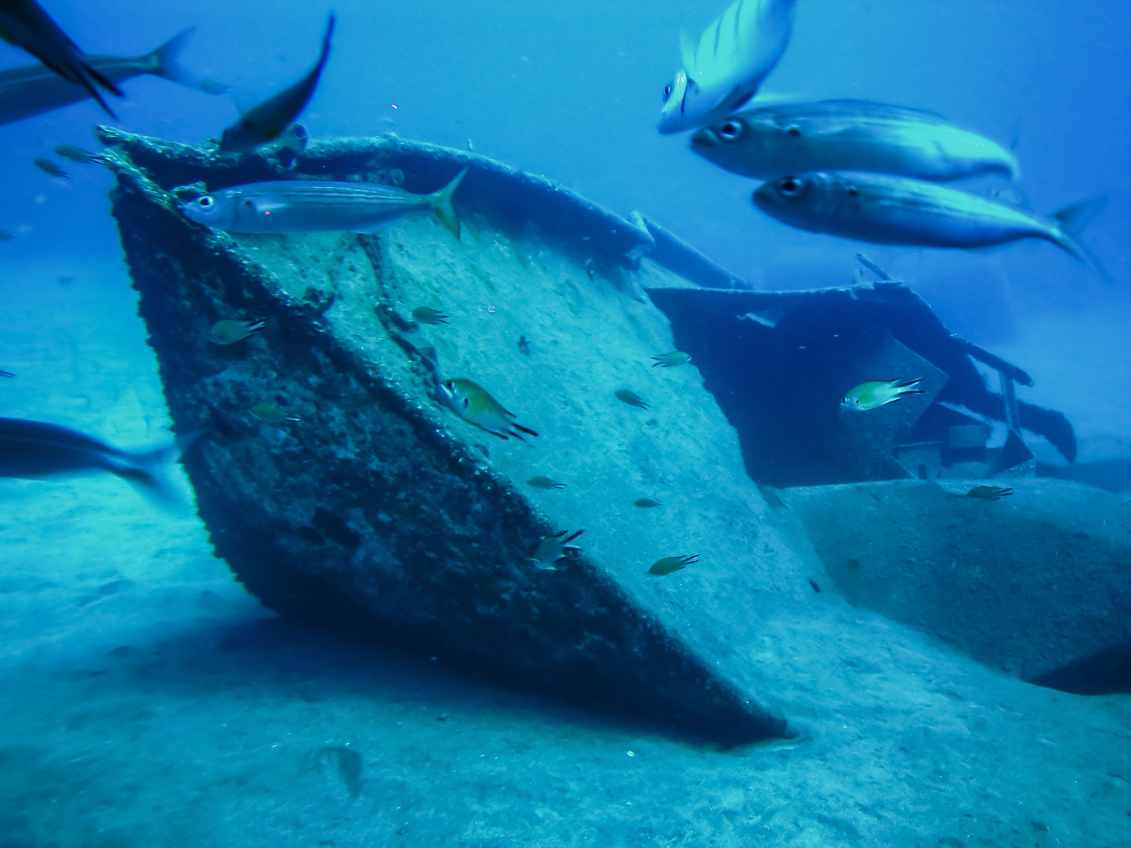 Submarine dive at Puerto Calero, Lanzarote — image 17