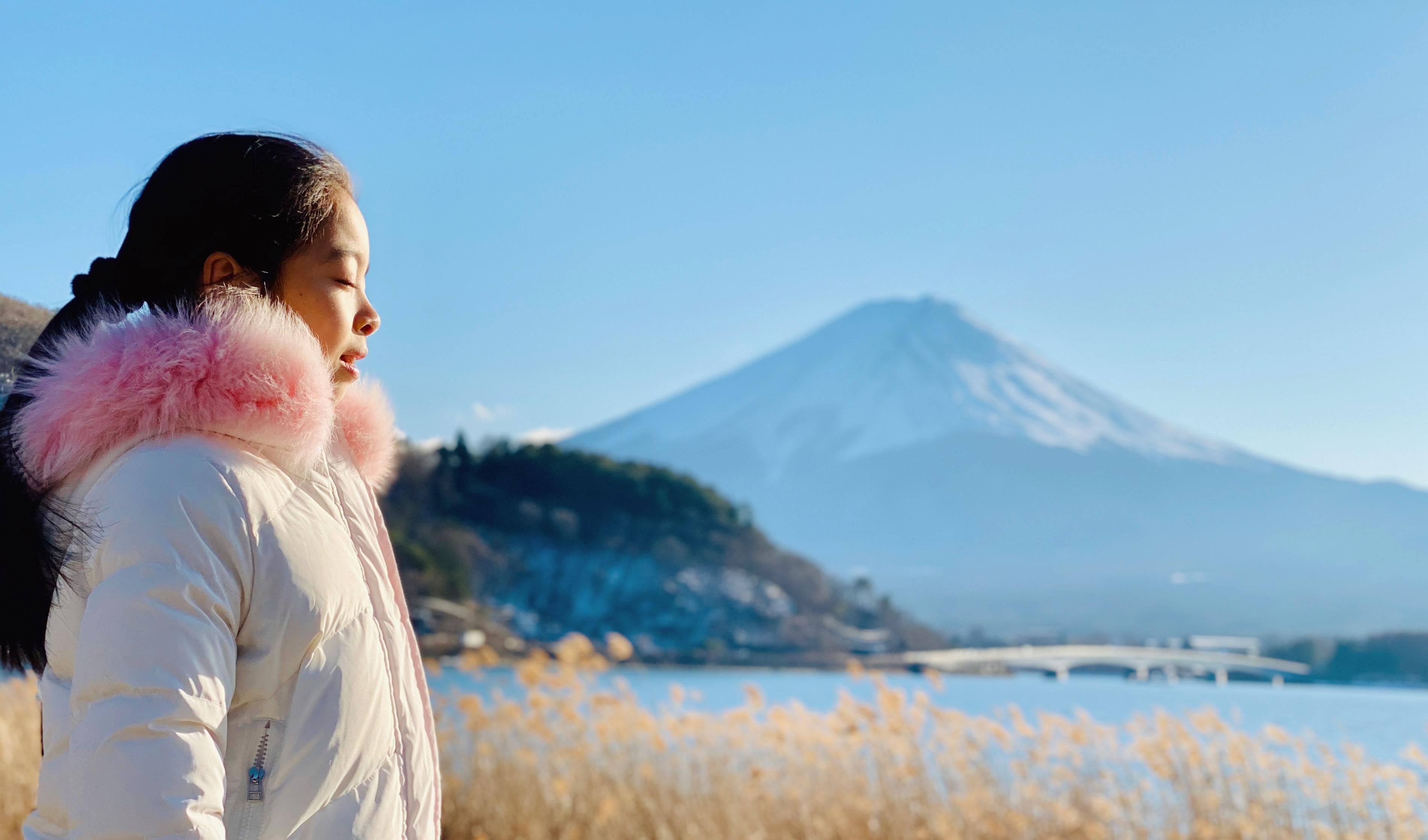 Mt. Fuji Private Full-Day Tour from Tokyo